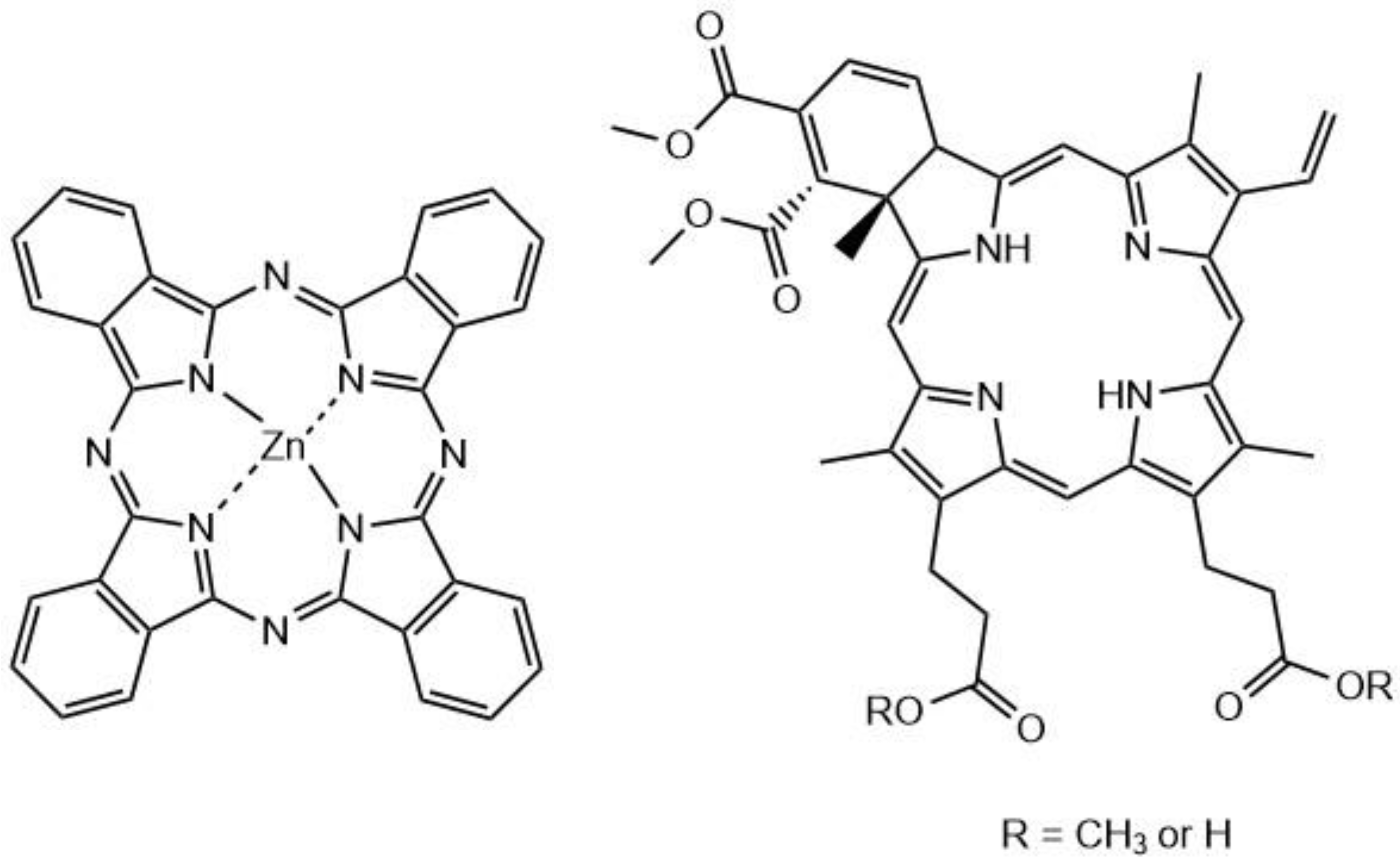 Molecules 26 06323 g025
