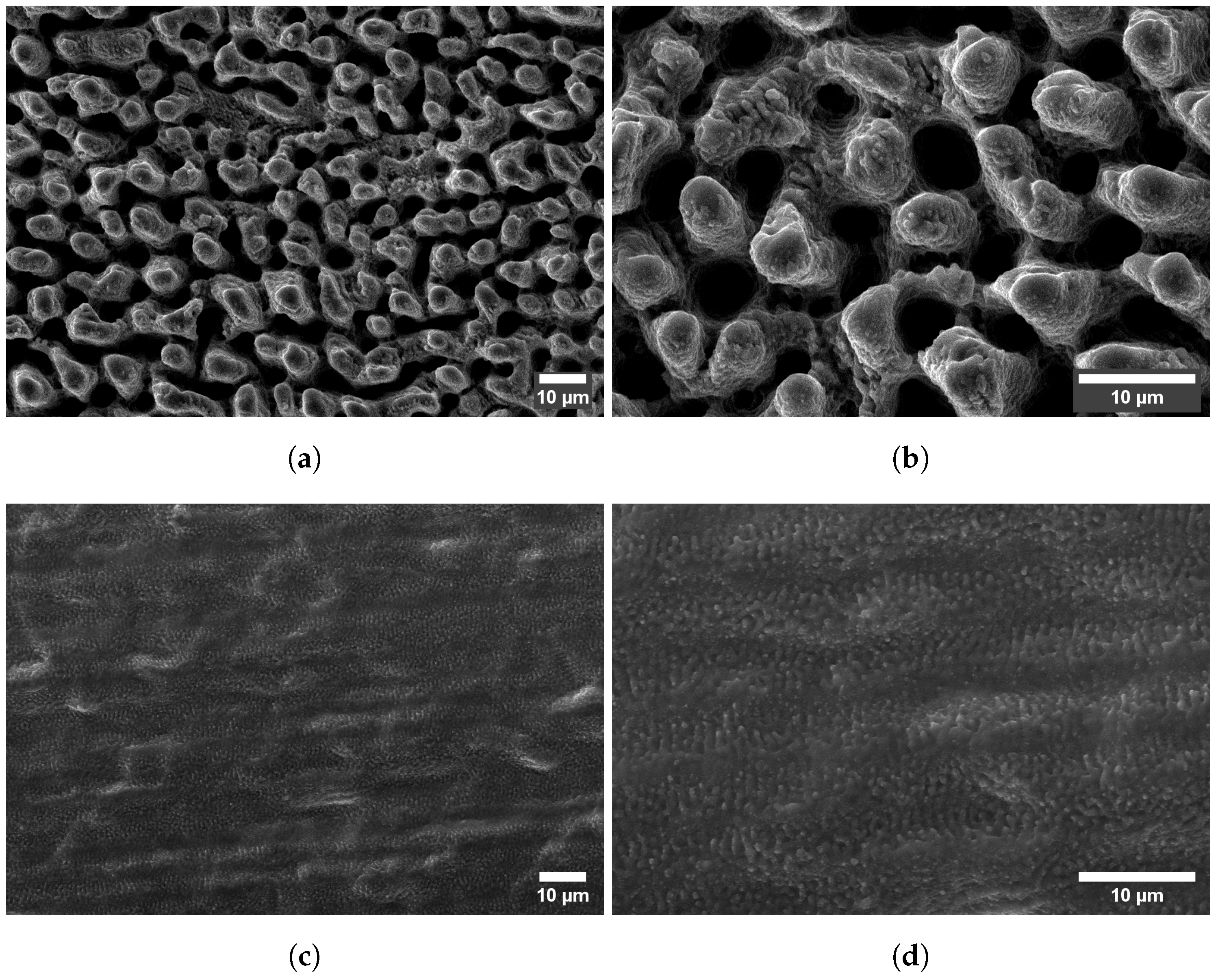 Molecules 26 06327 g005
