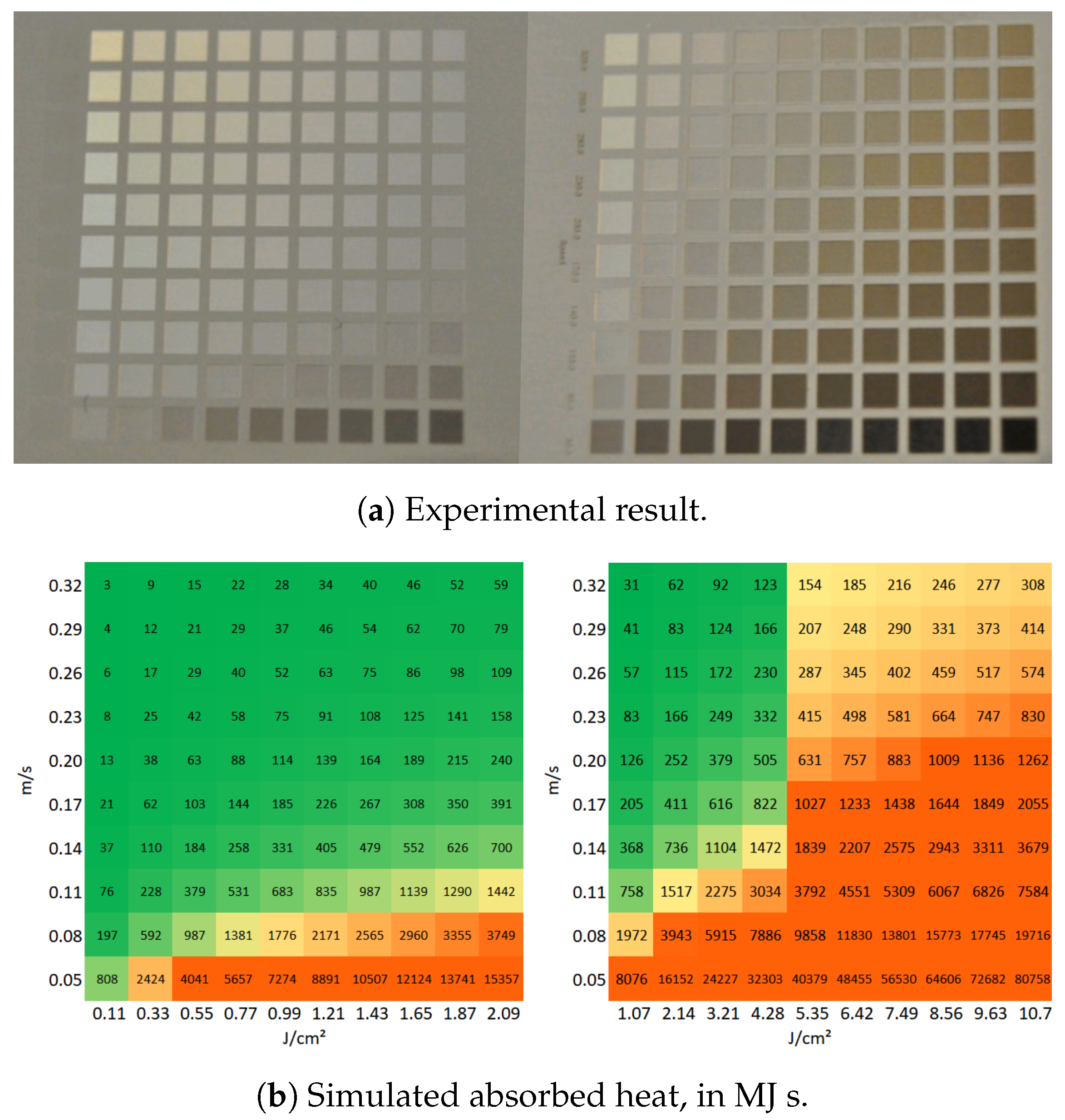 Molecules 26 06327 g007