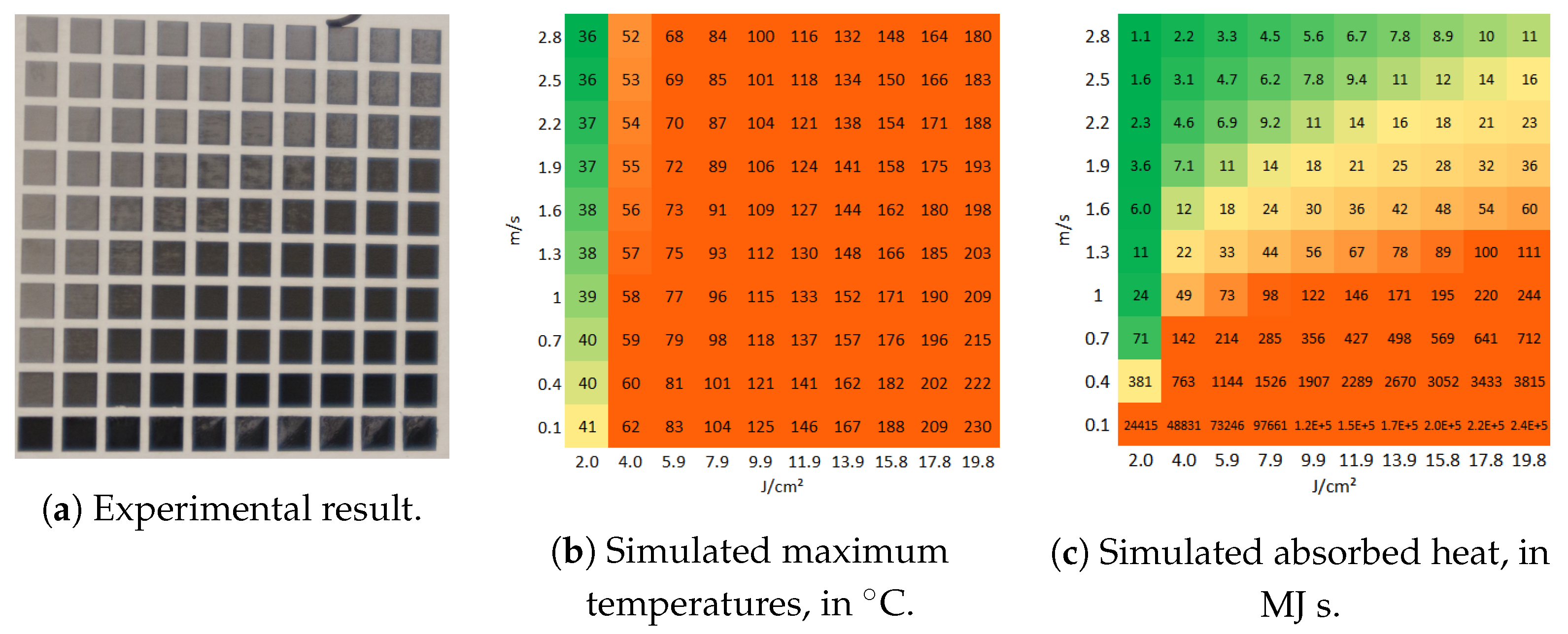 Molecules 26 06327 g008