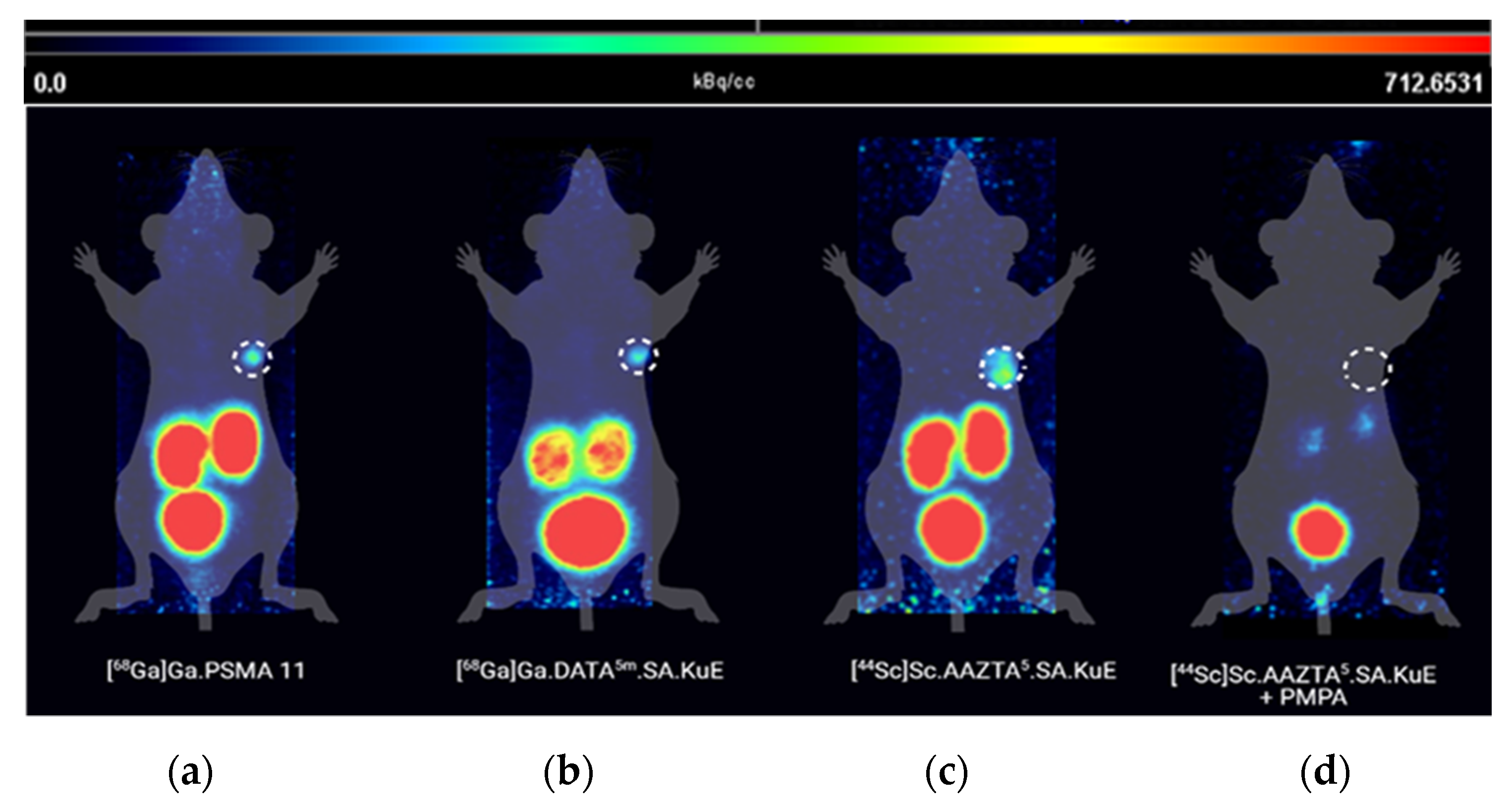 Molecules 26 06332 g011 Molecules 26 06332 g011