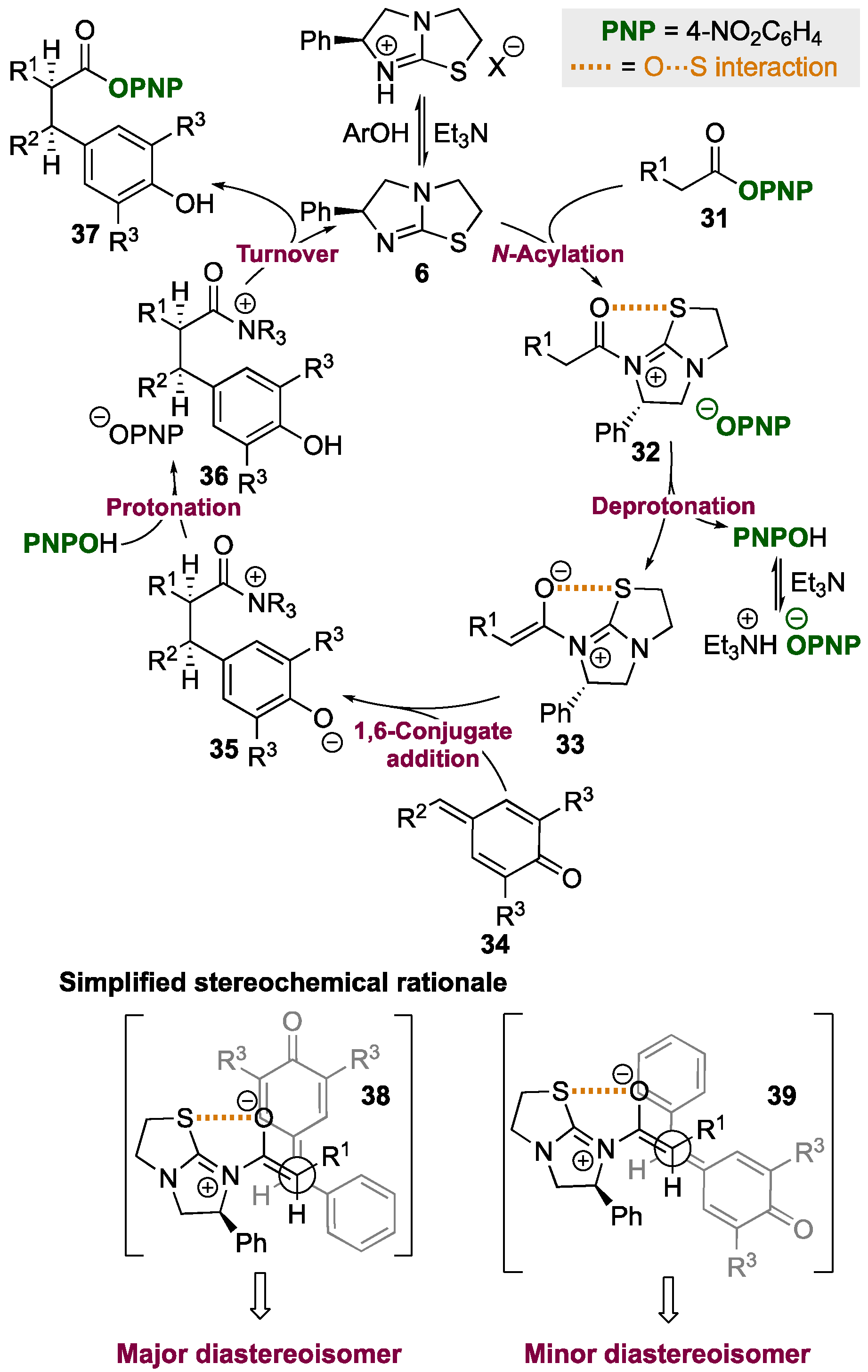 Molecules 26 06333 sch005