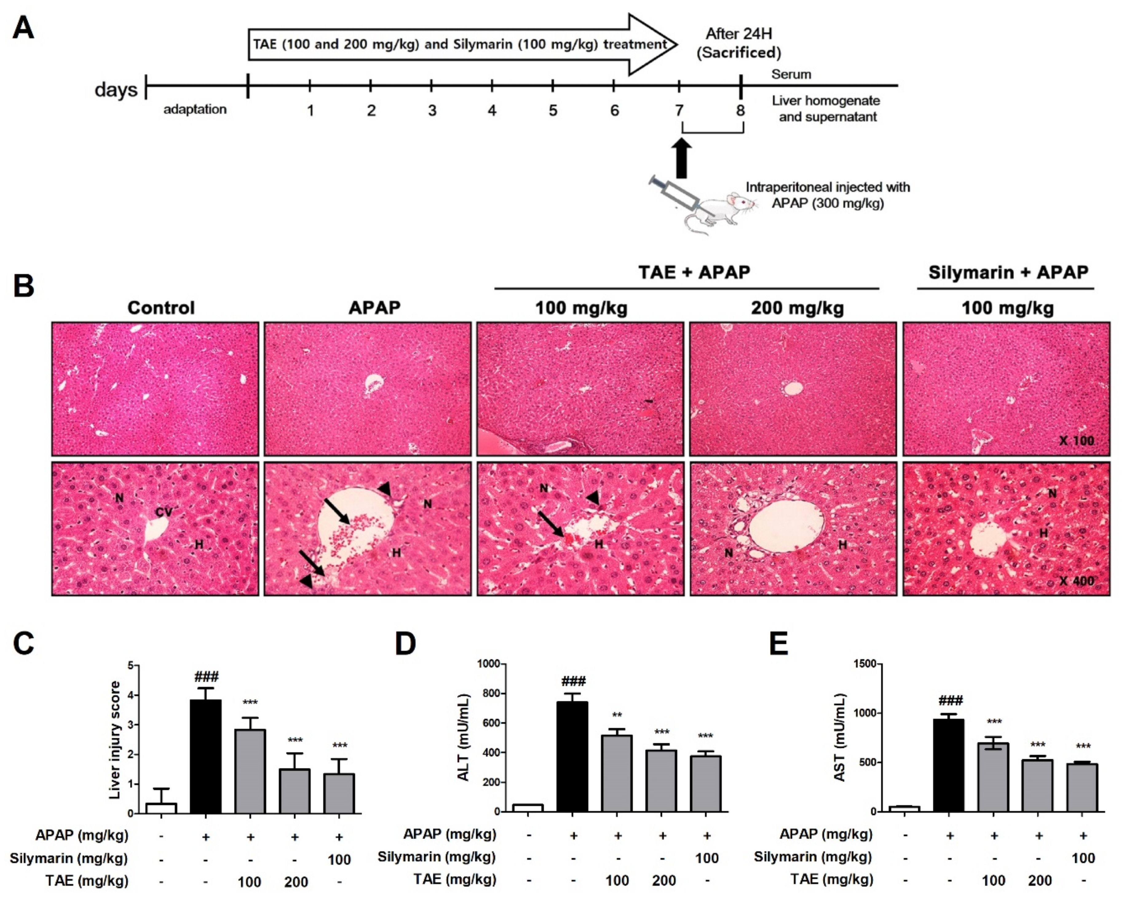 Molecules 26 06336 g002