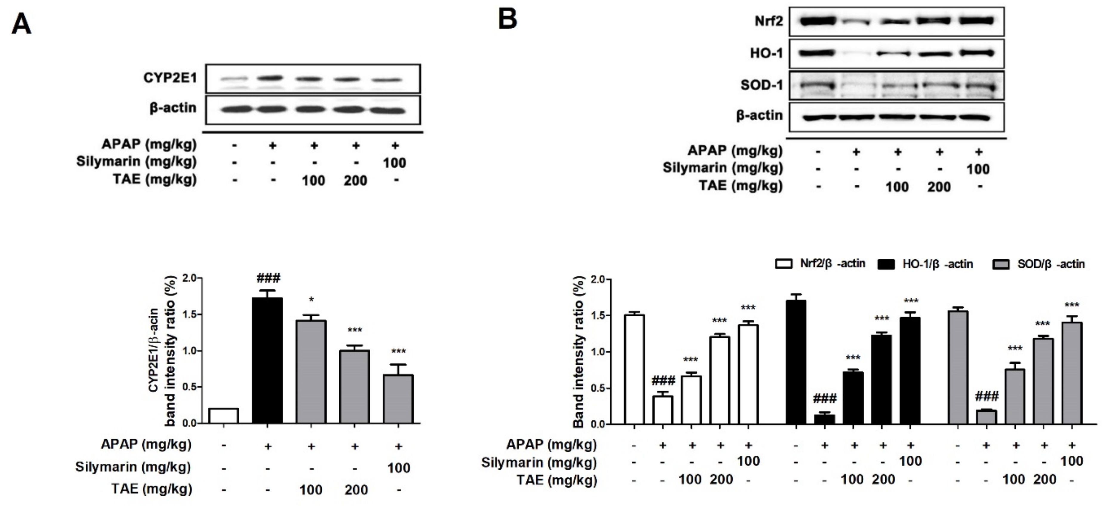 Molecules 26 06336 g005