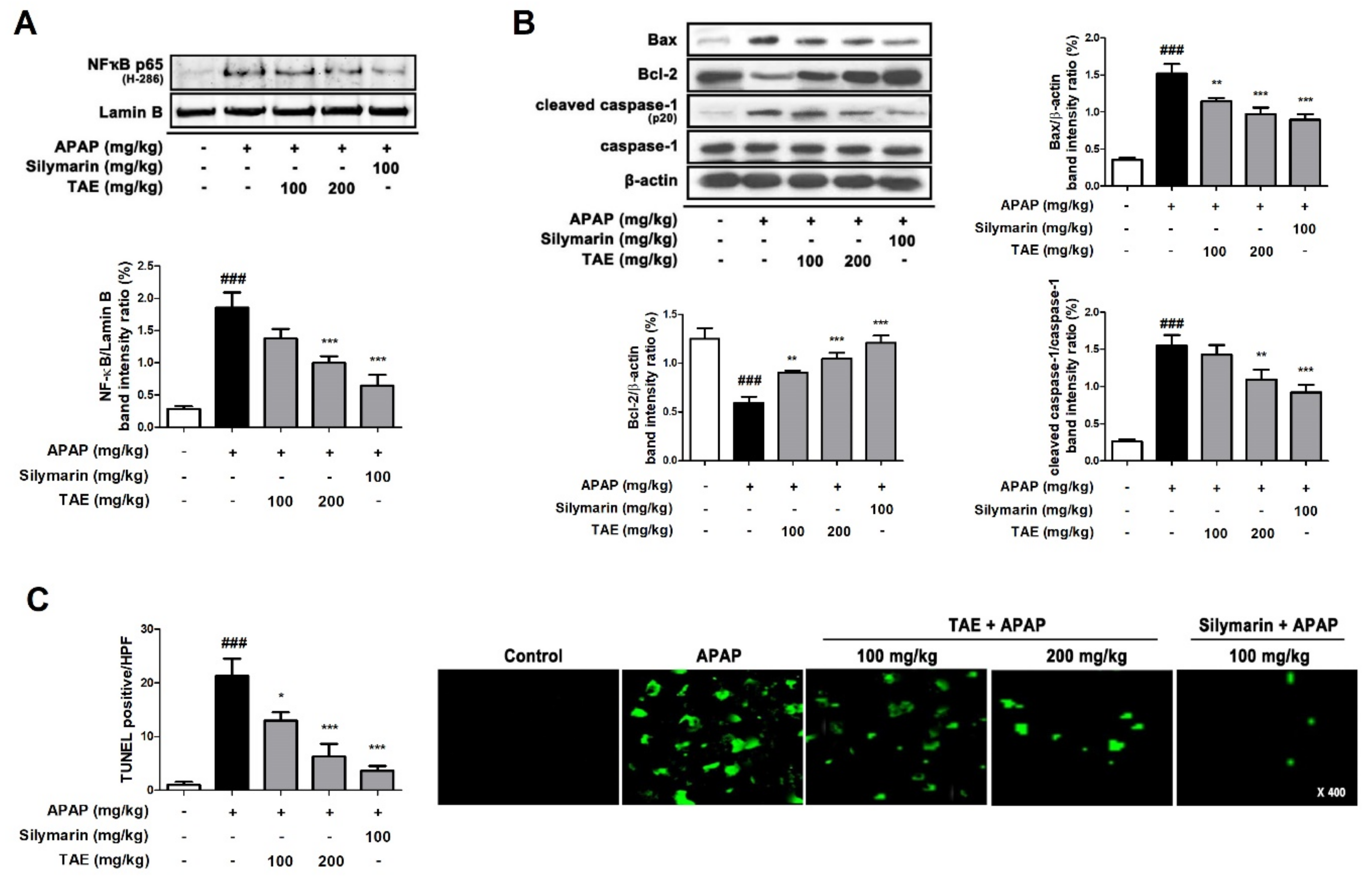 Molecules 26 06336 g007