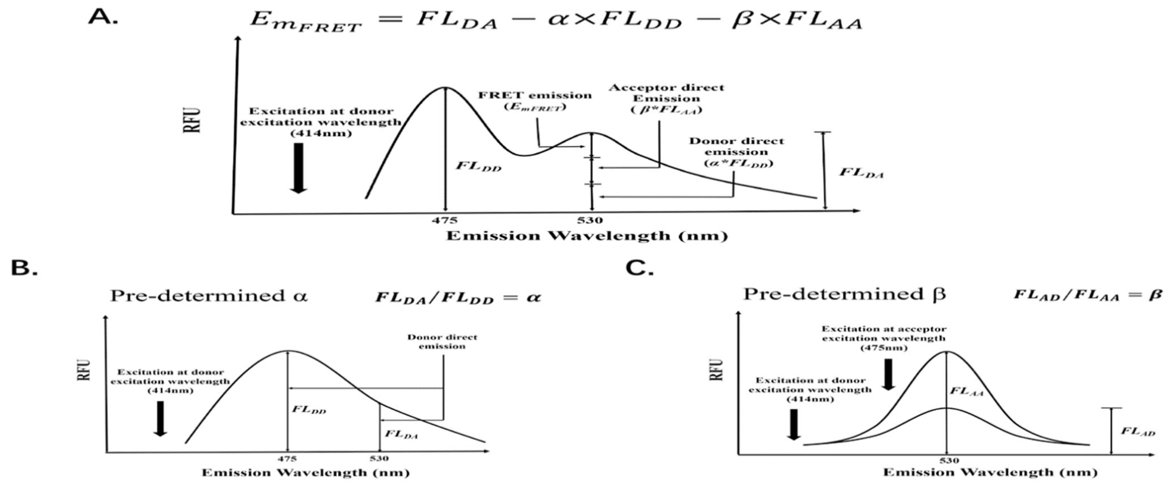 Molecules 26 06339 g002