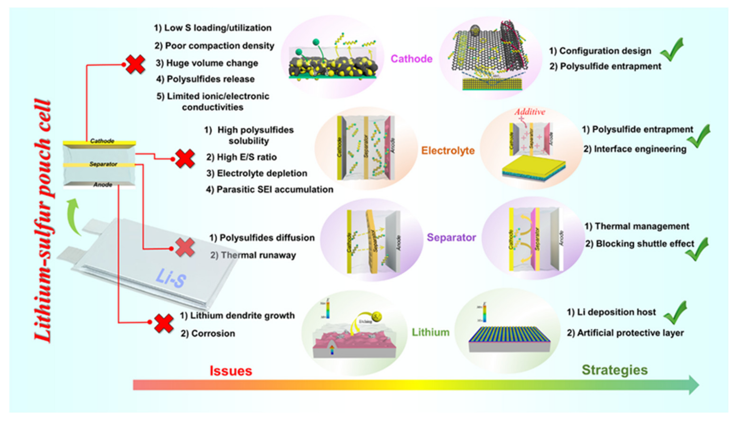 Molecules 26 06341 g001