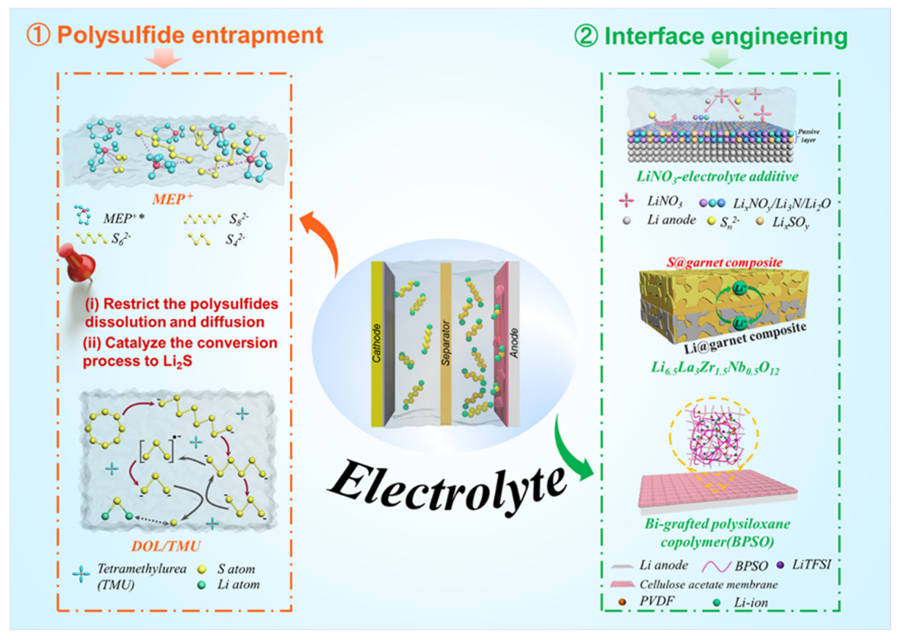 Molecules 26 06341 g003