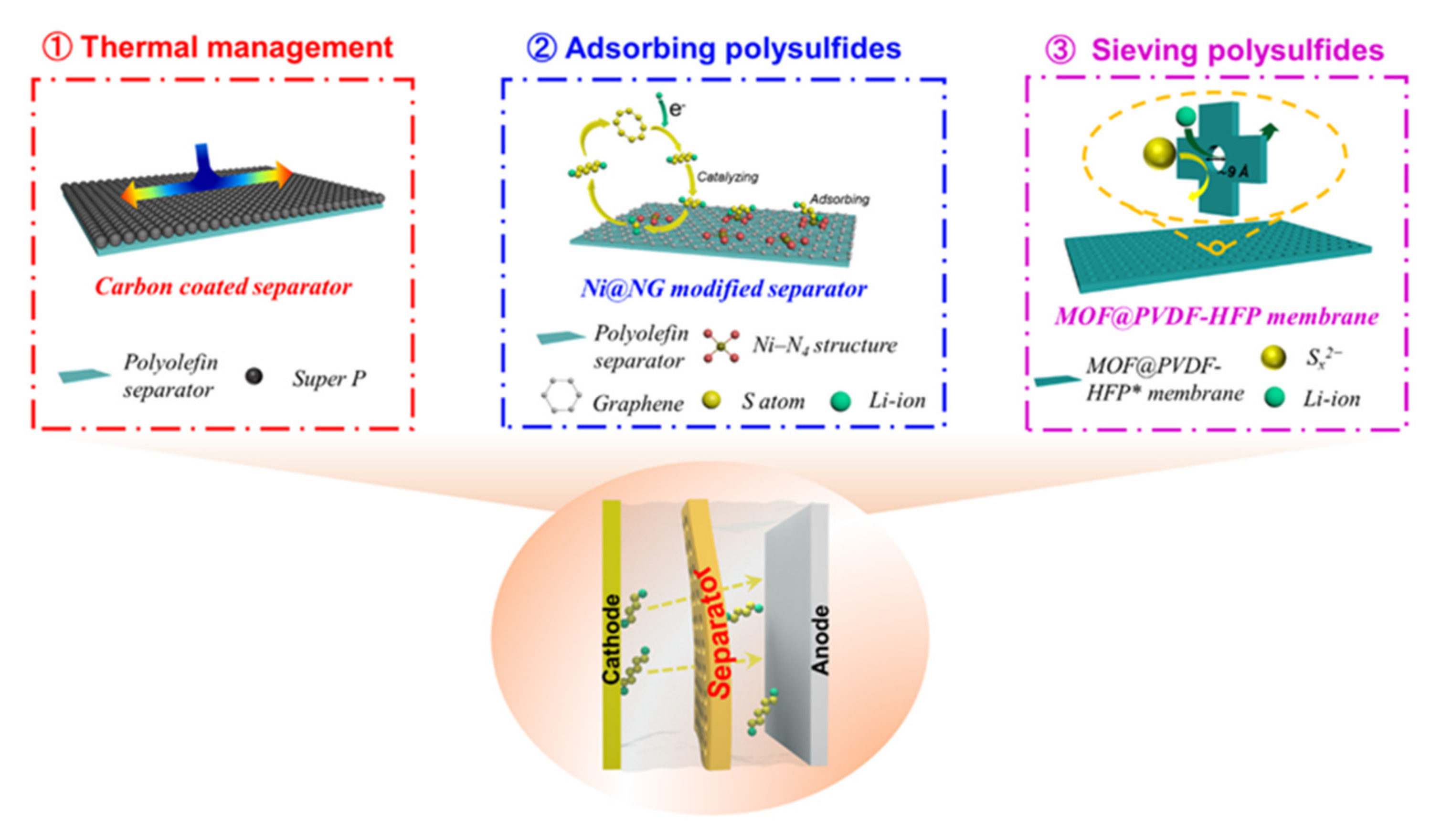 Molecules 26 06341 g004