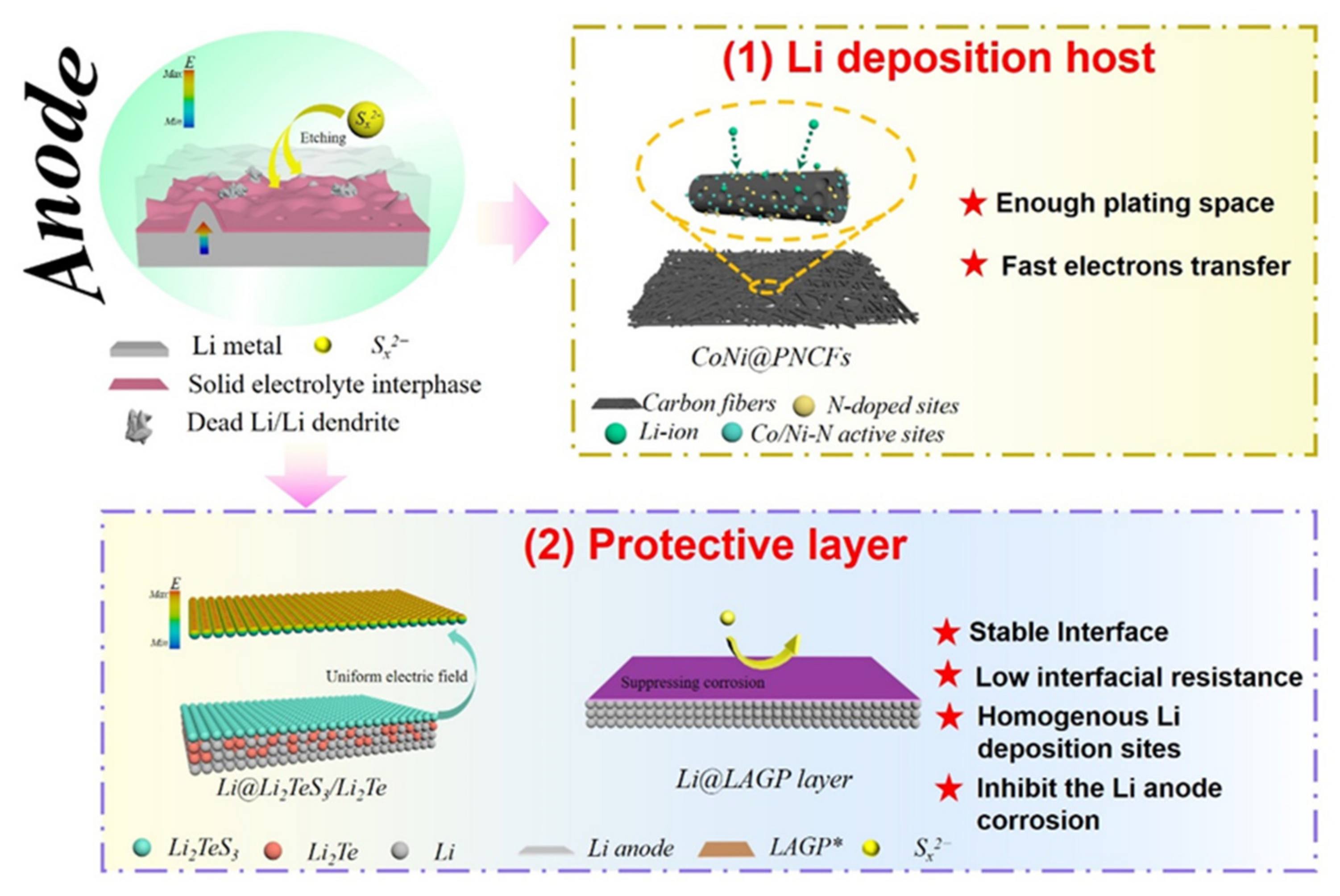 Molecules 26 06341 g005