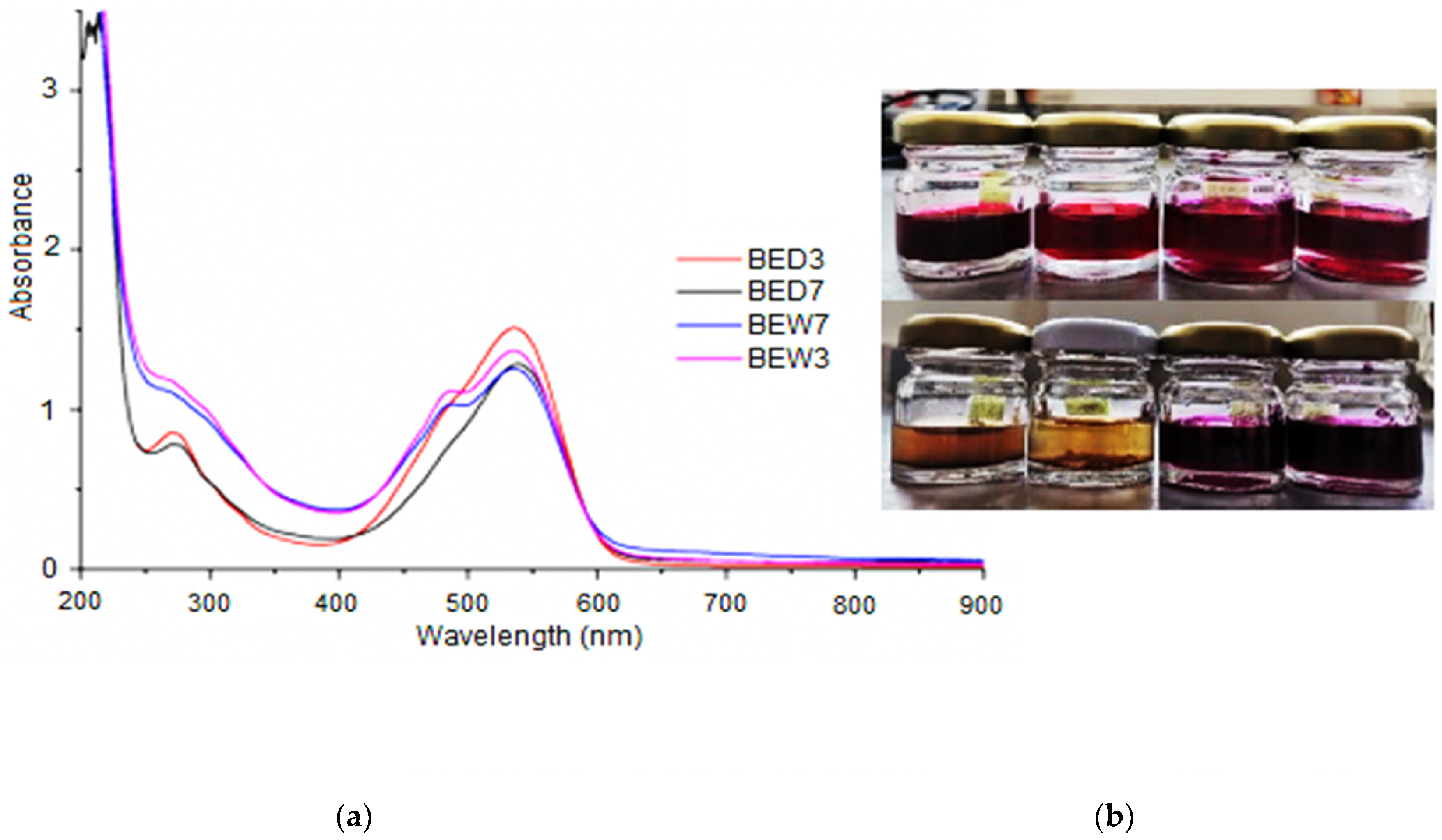 Molecules 26 06342 g003