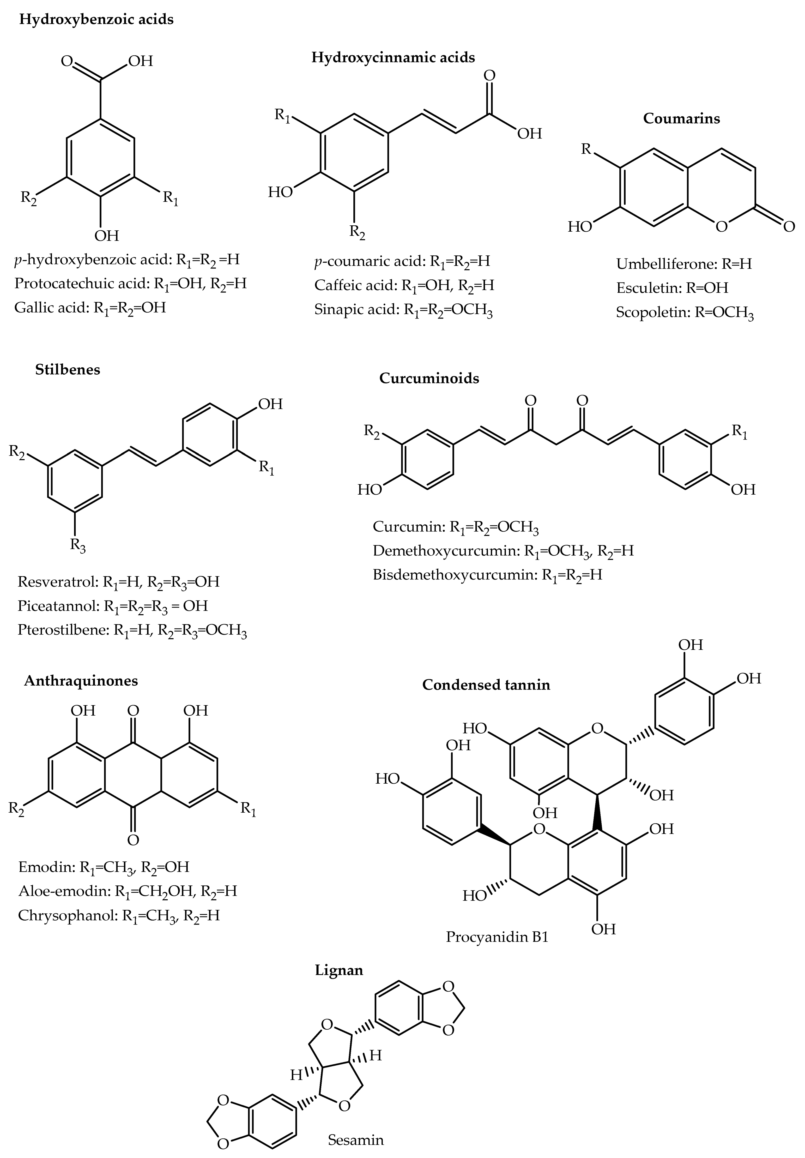 Molecules 26 06343 g001