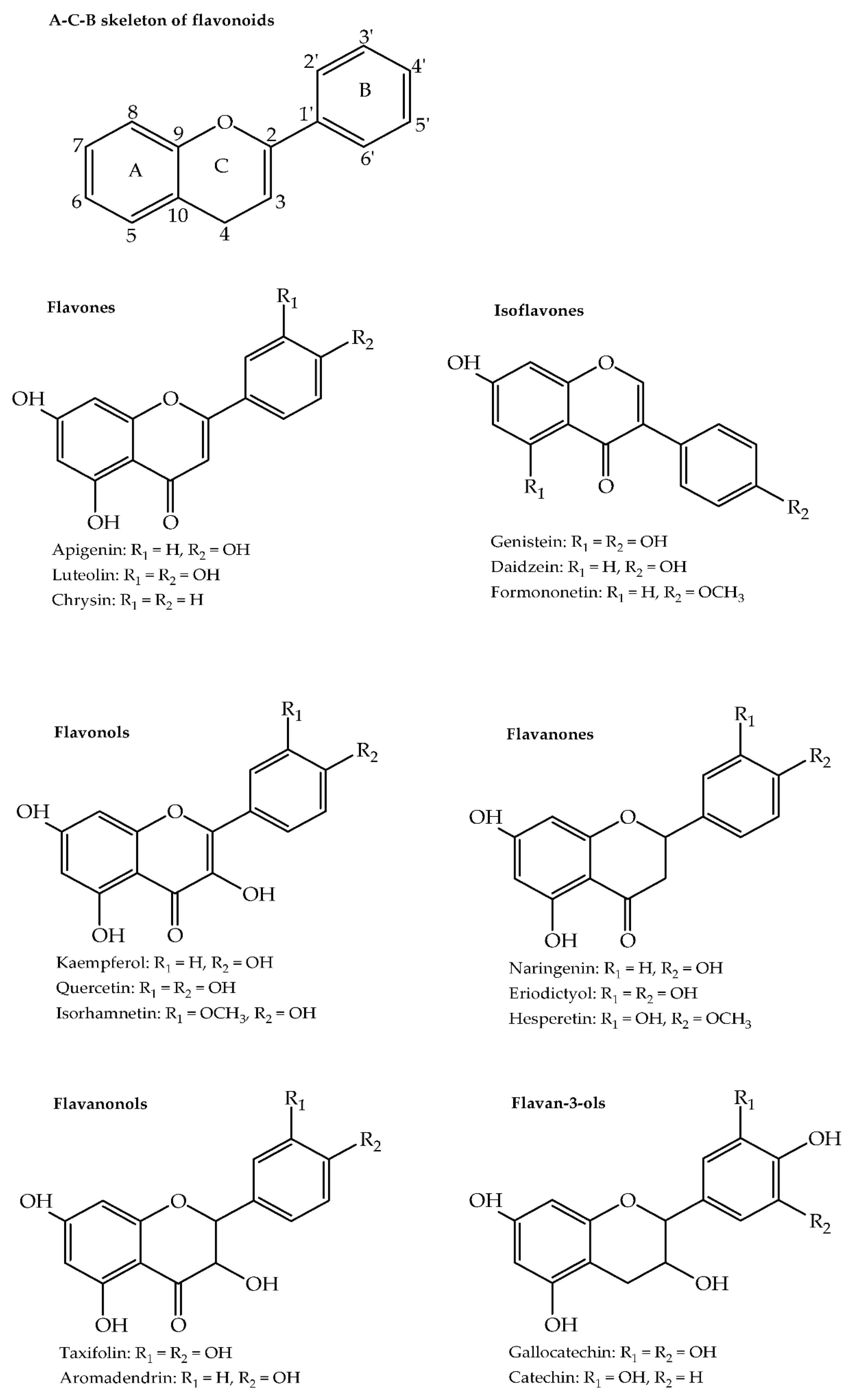 Molecules 26 06343 g002