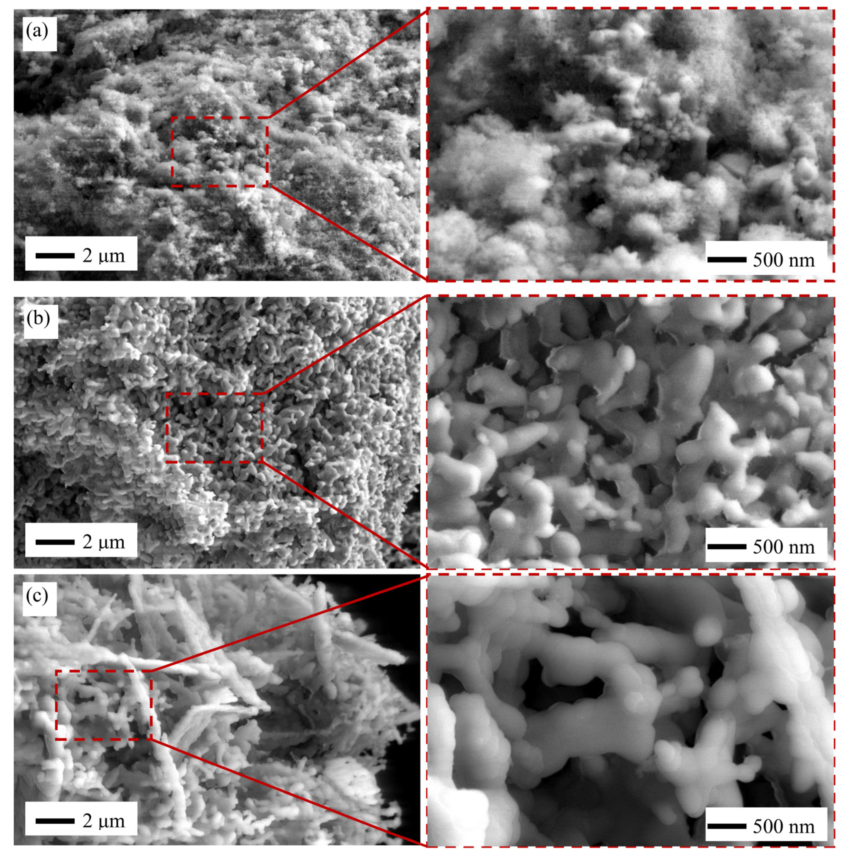 Molecules 26 06344 g003