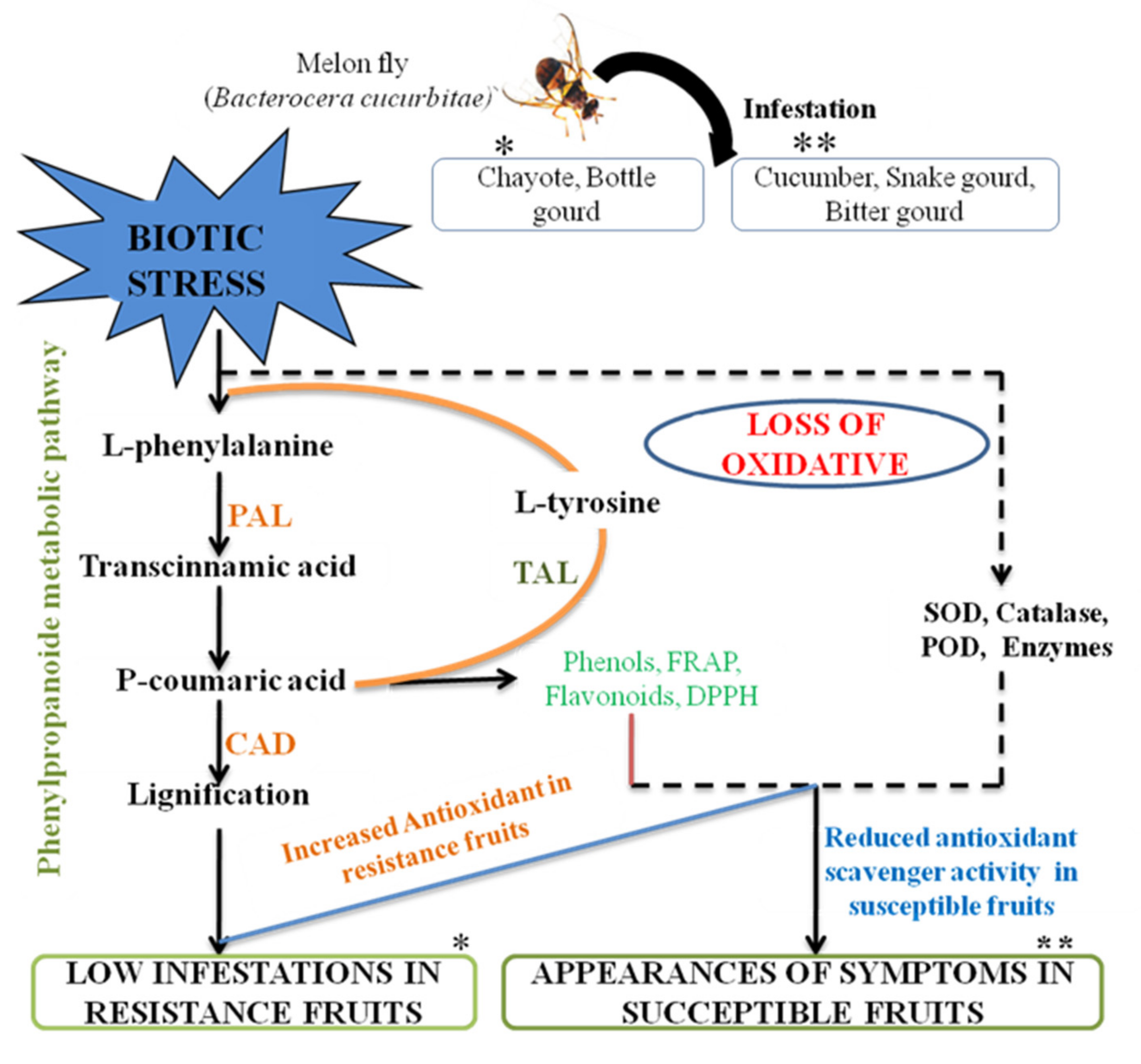 Molecules 26 06345 g008