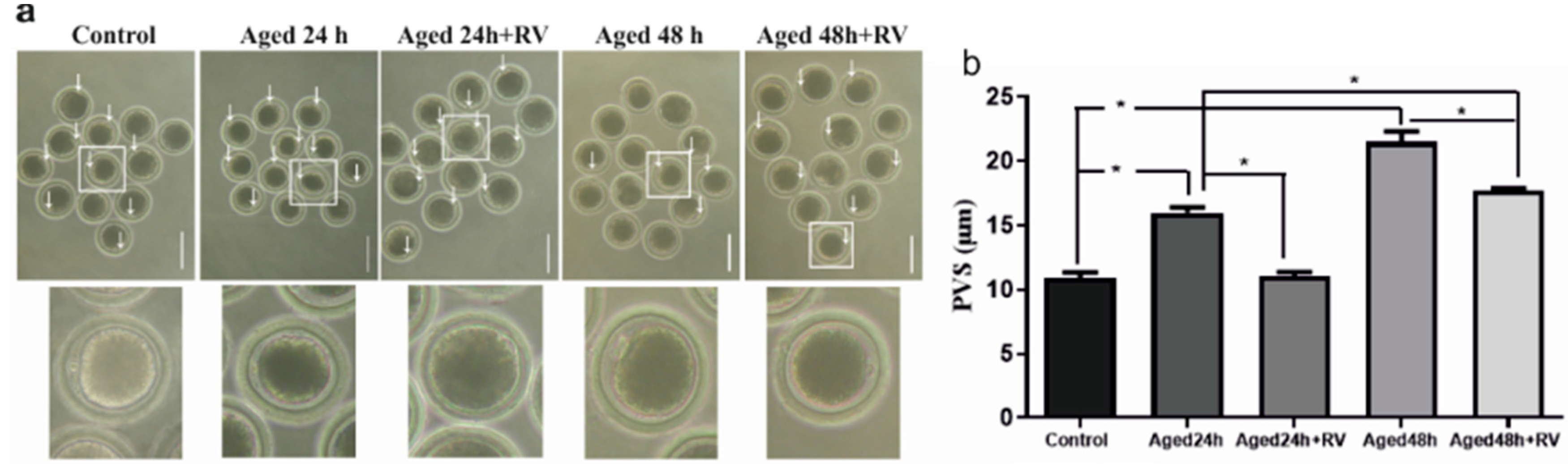 Molecules 26 06346 g002