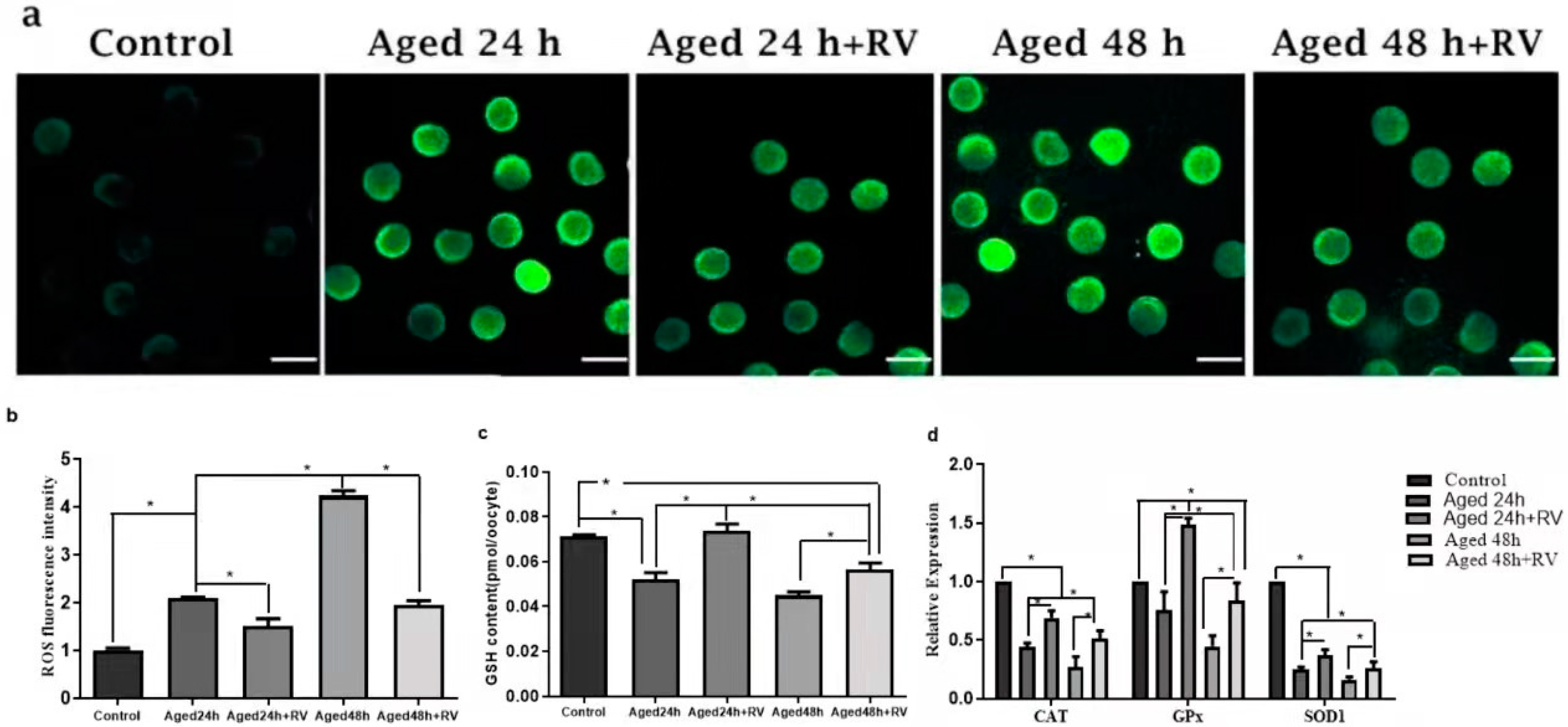 Molecules 26 06346 g004