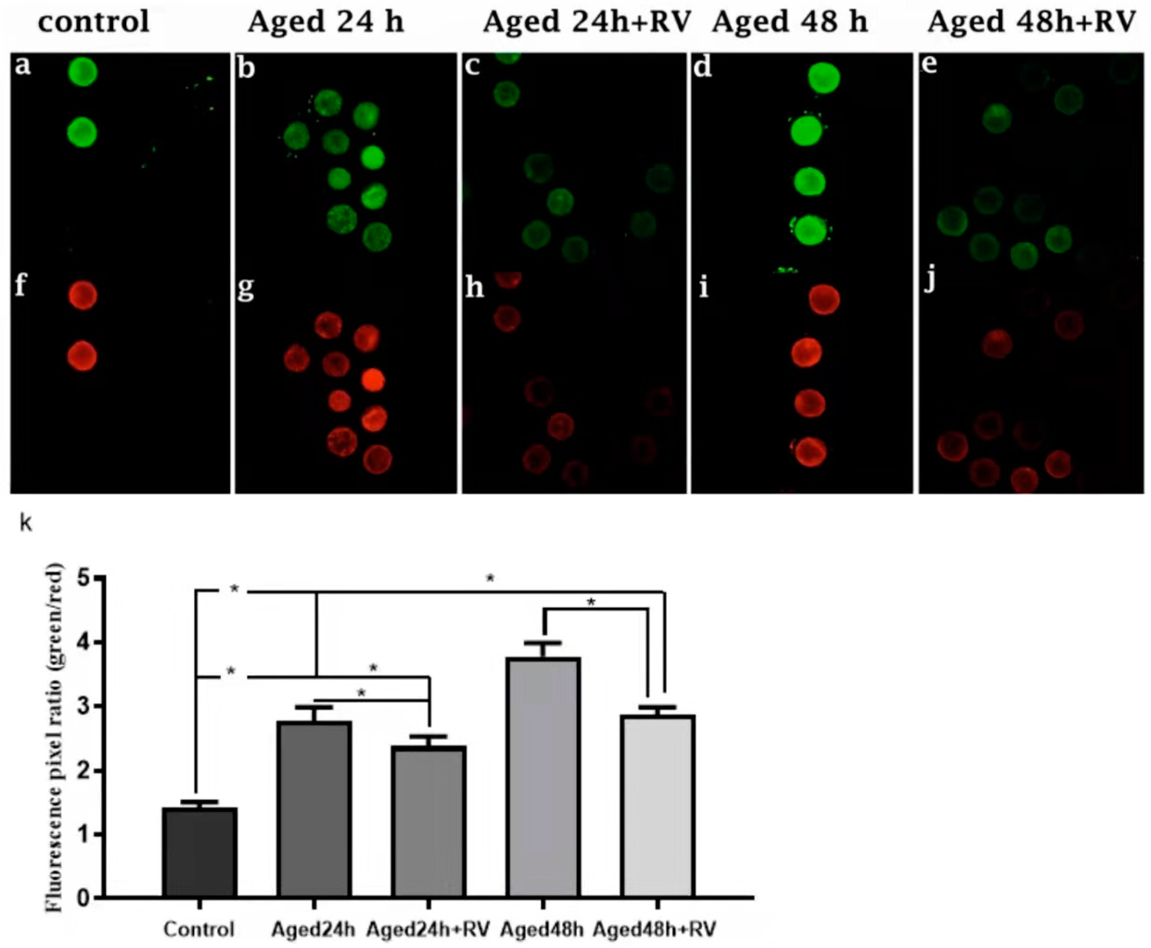 Molecules 26 06346 g005