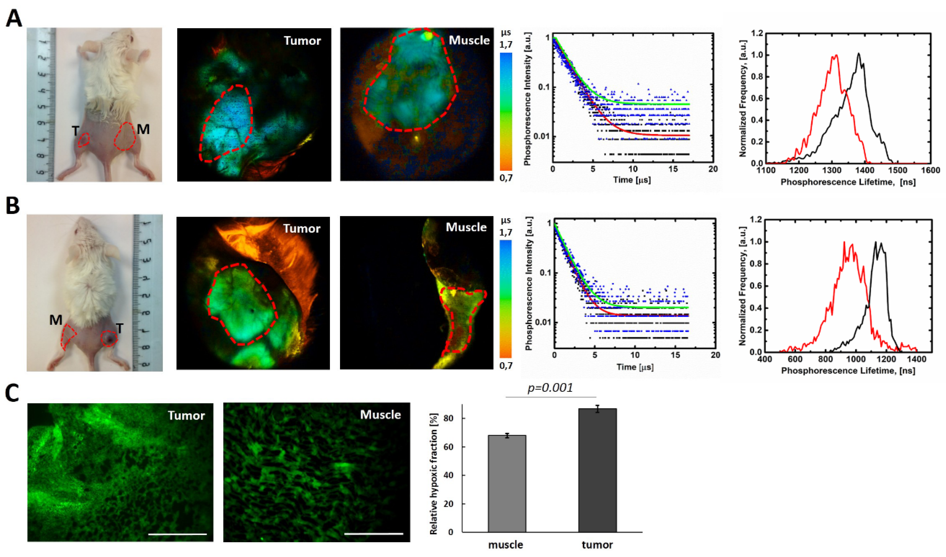 Molecules 26 06349 g009