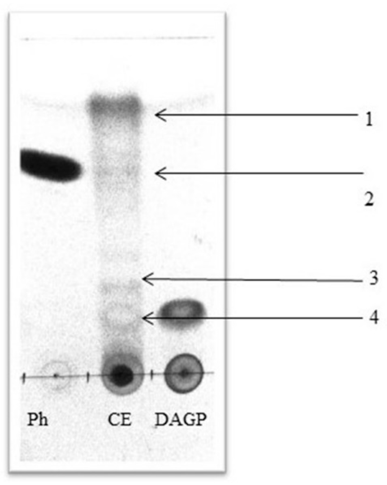 Molecules 26 06359 g002