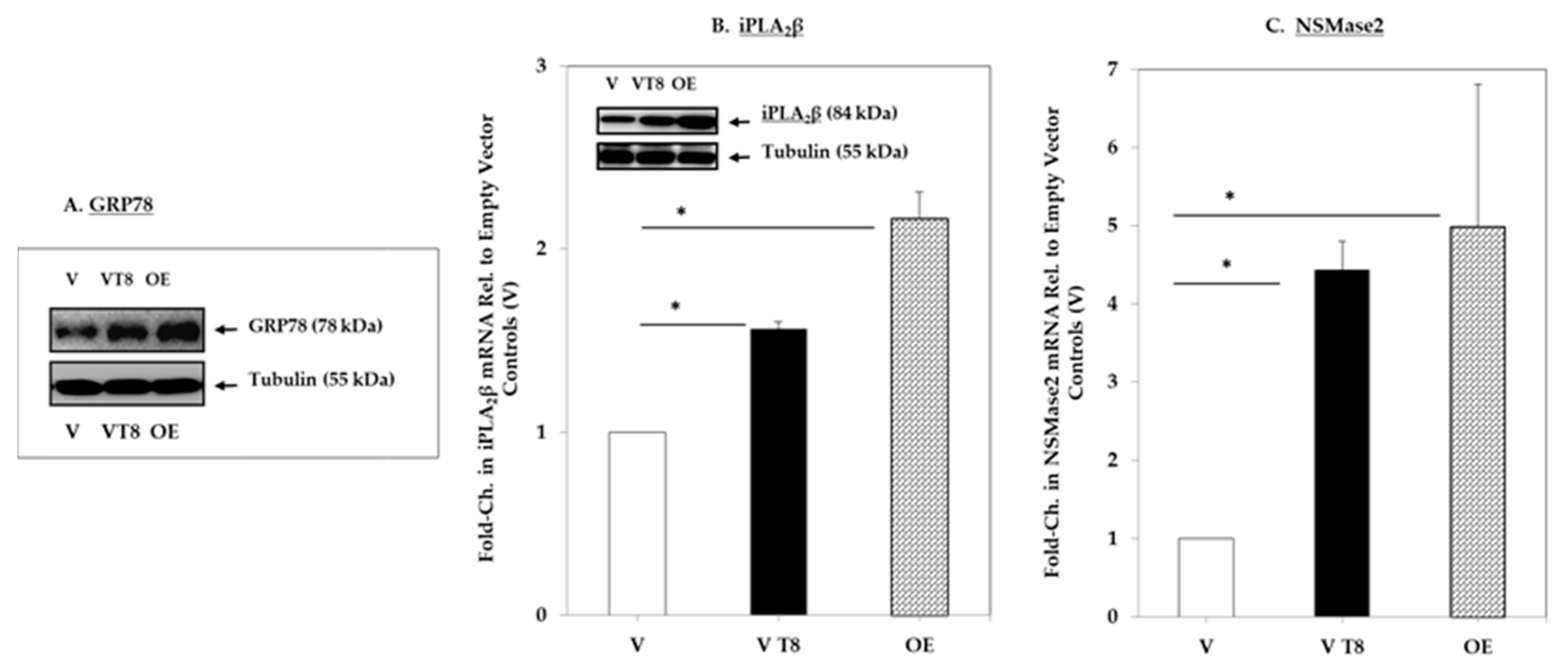 Molecules 26 06361 g001