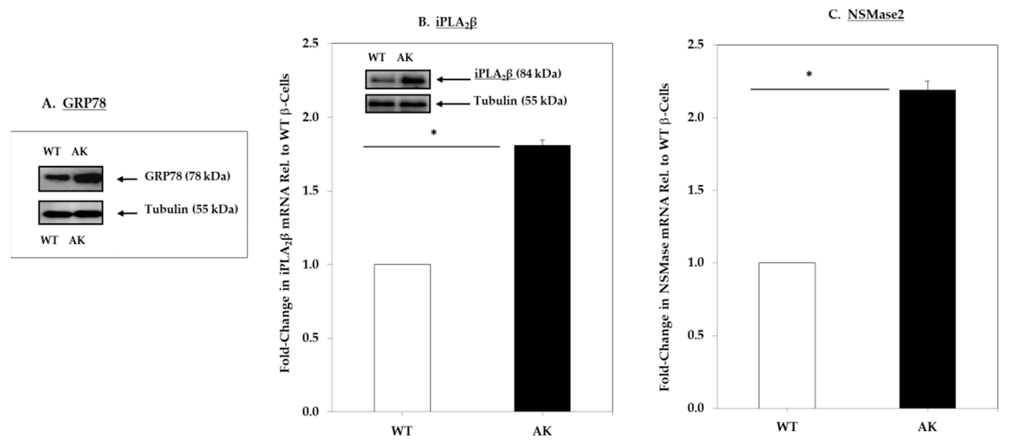 Molecules 26 06361 g003