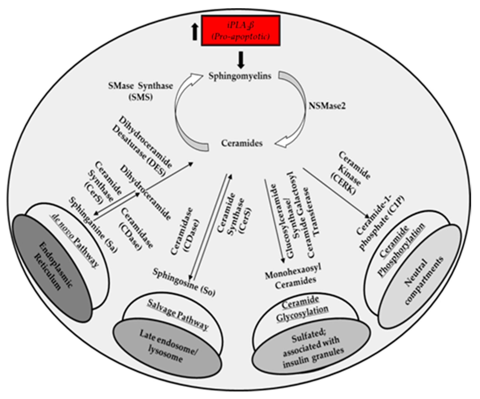 Molecules 26 06361 g007
