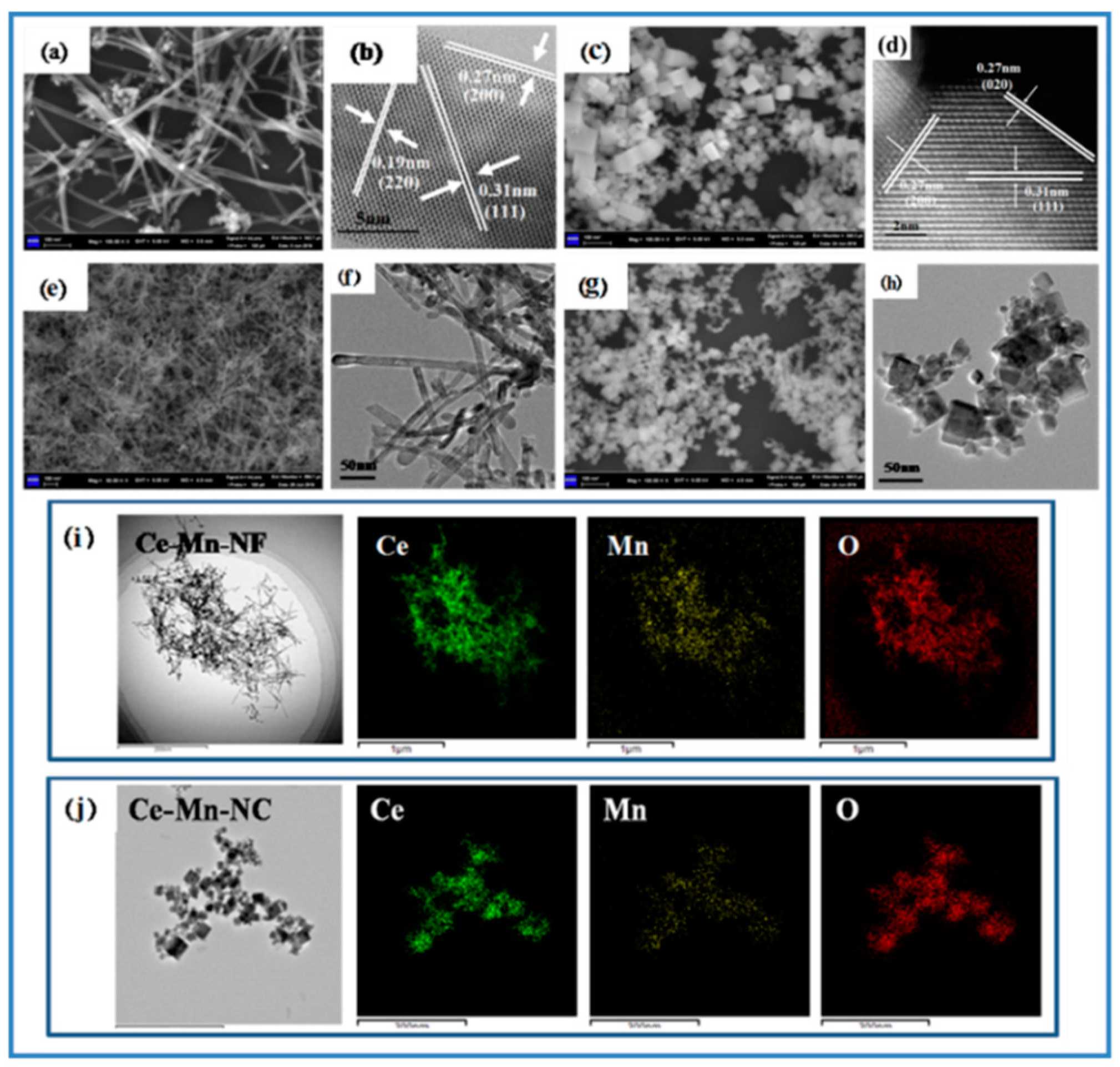Molecules 26 06363 g002