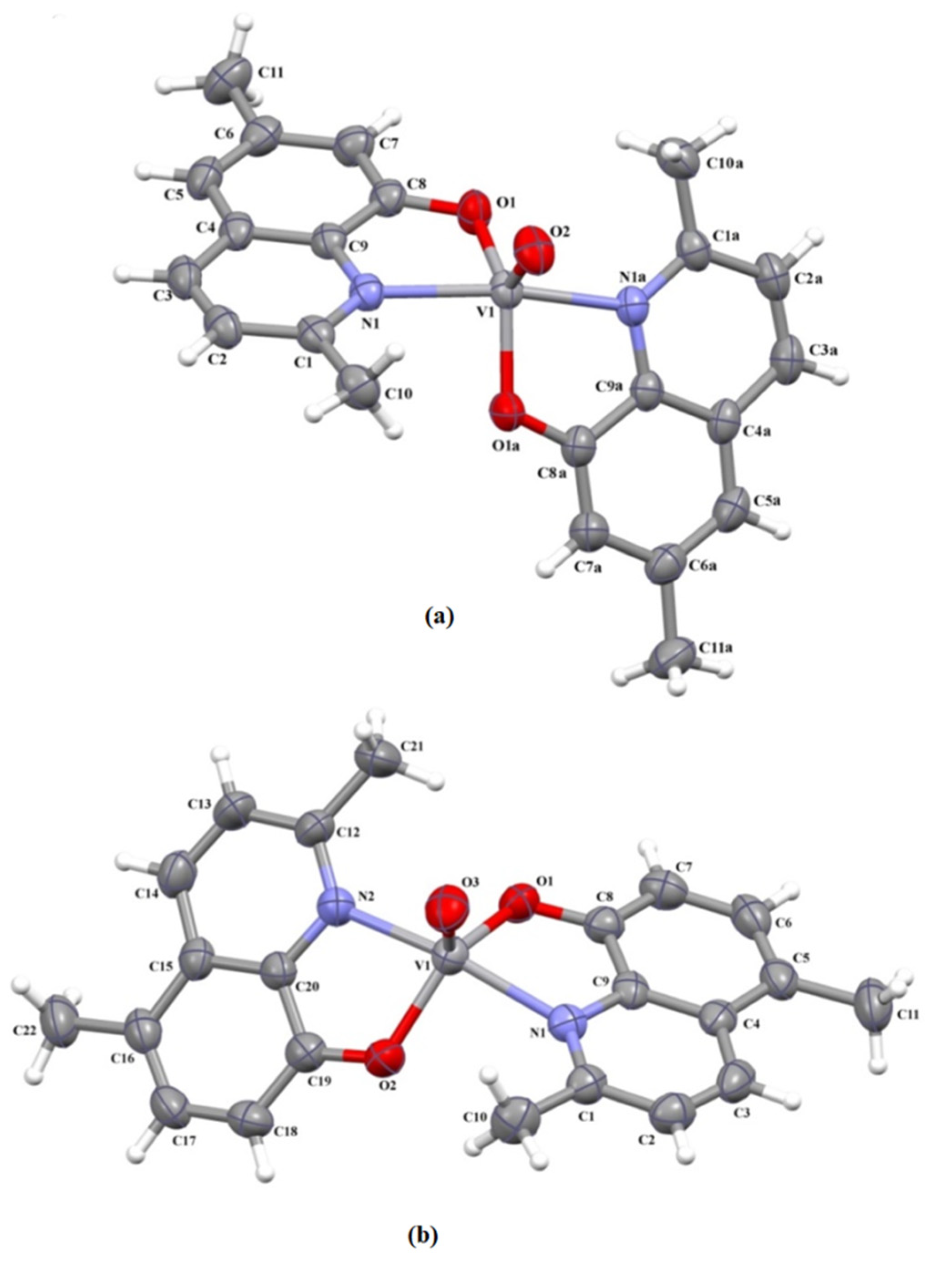 Molecules 26 06364 g001