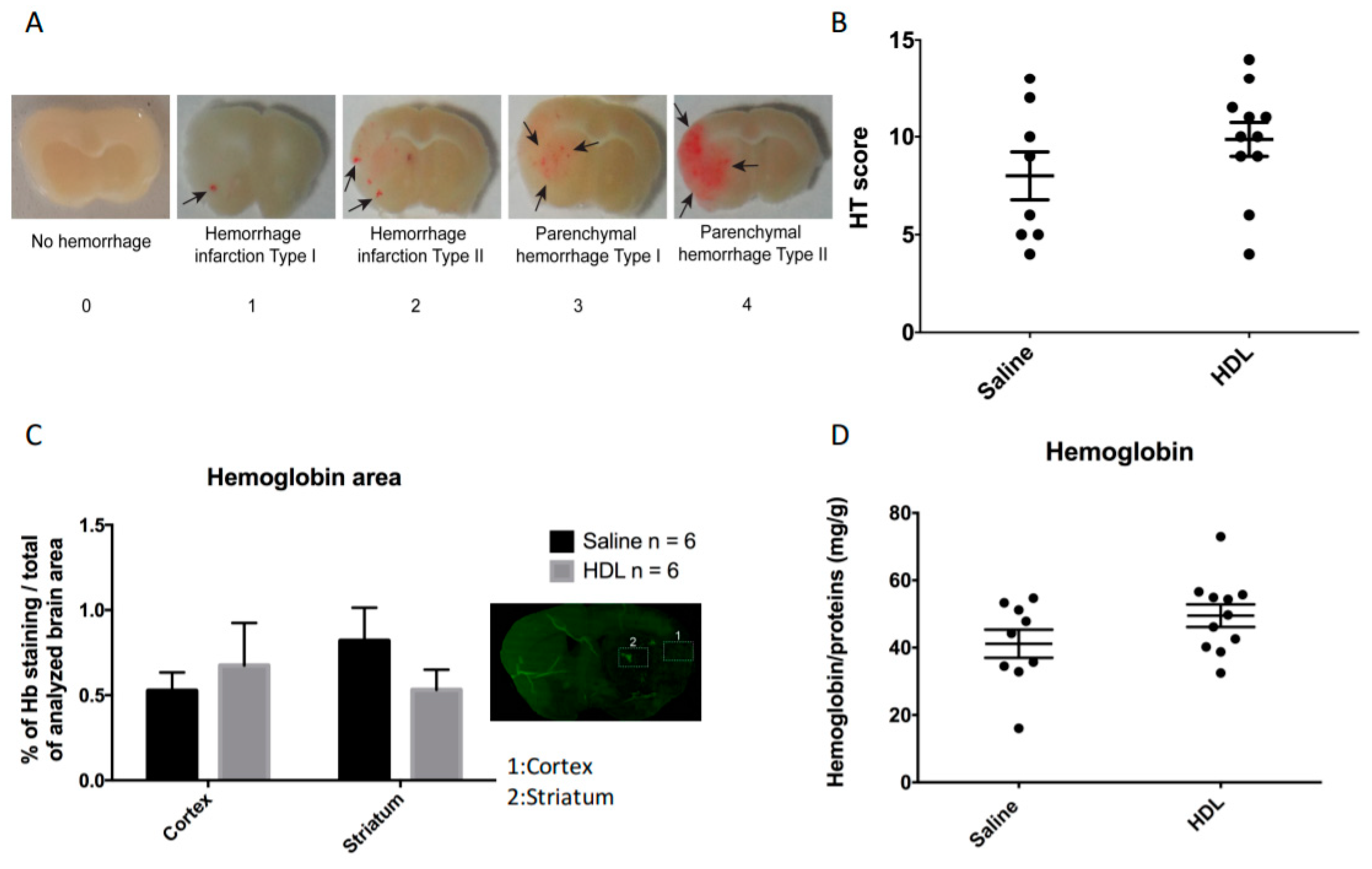 Molecules 26 06365 g003