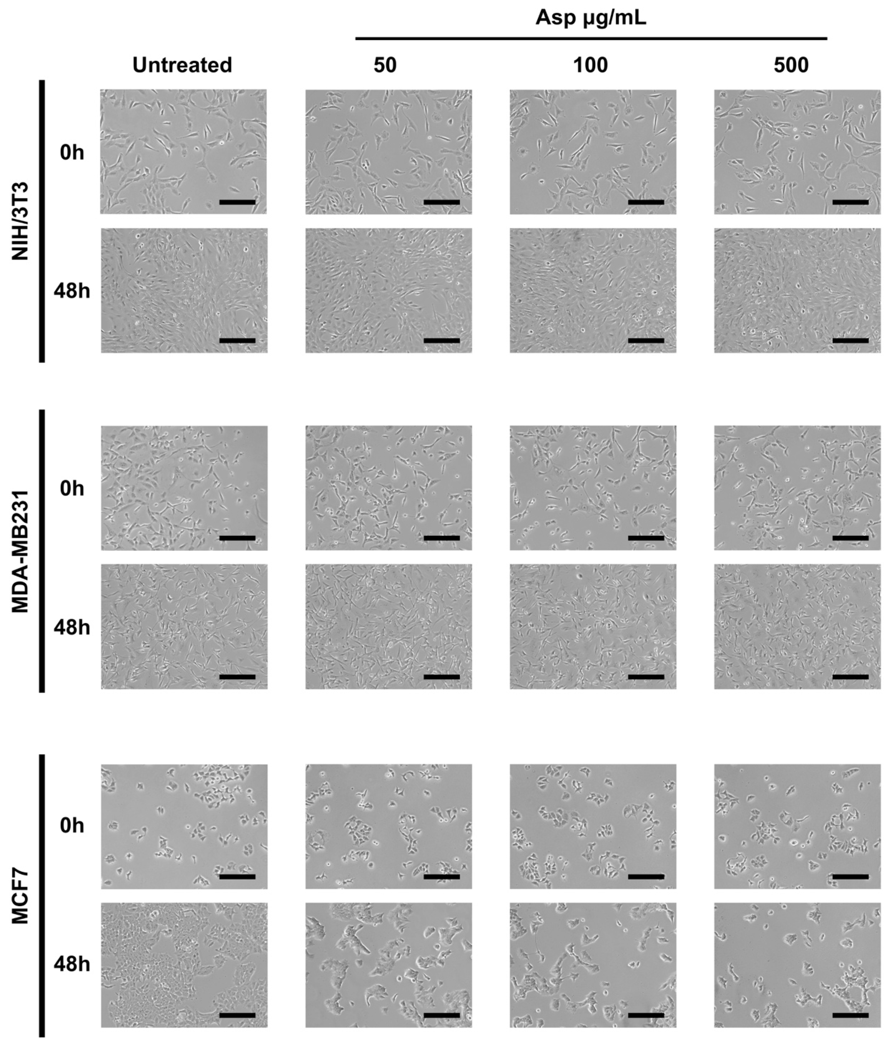 Molecules 26 06369 g001