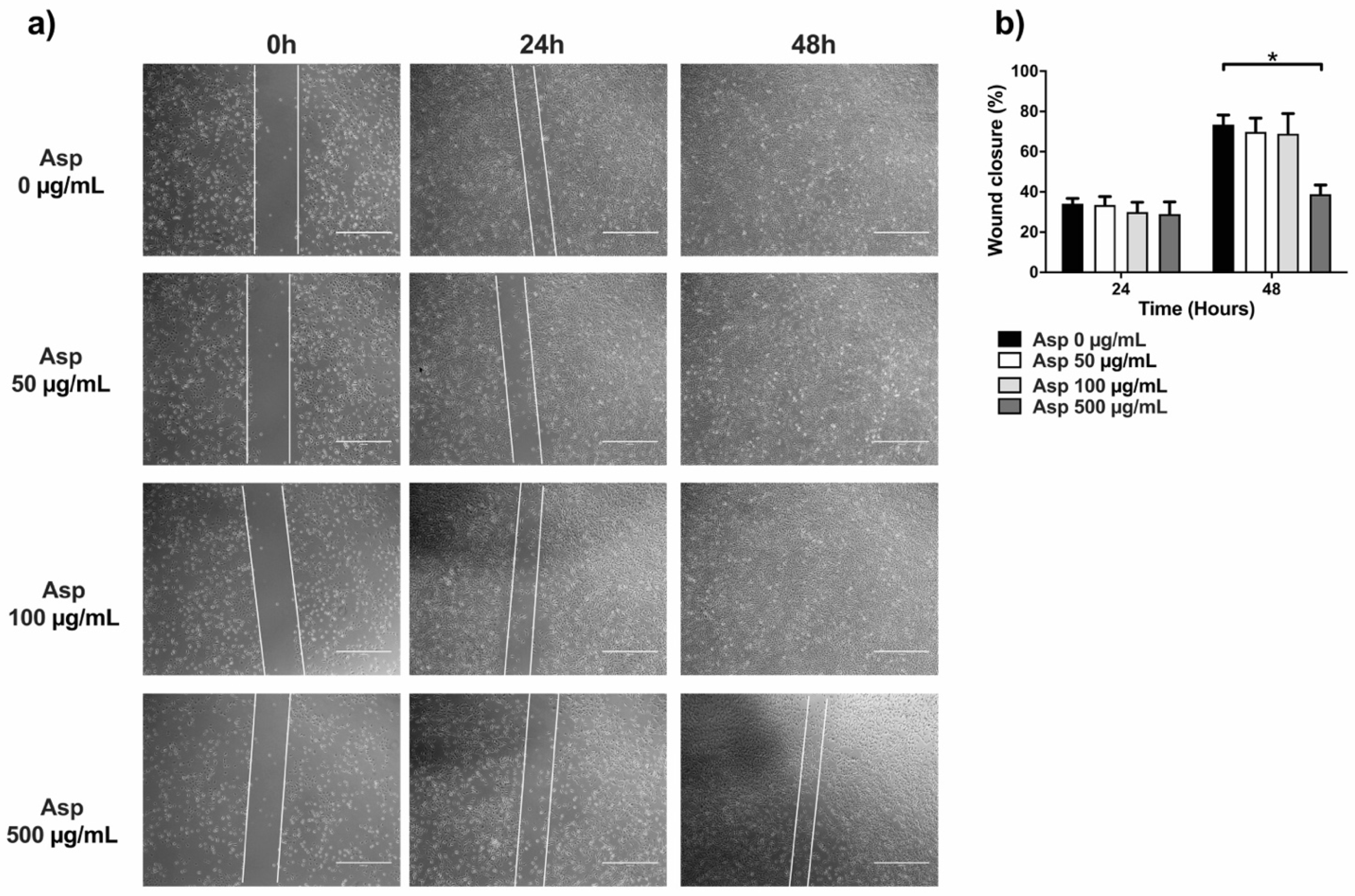 Molecules 26 06369 g007