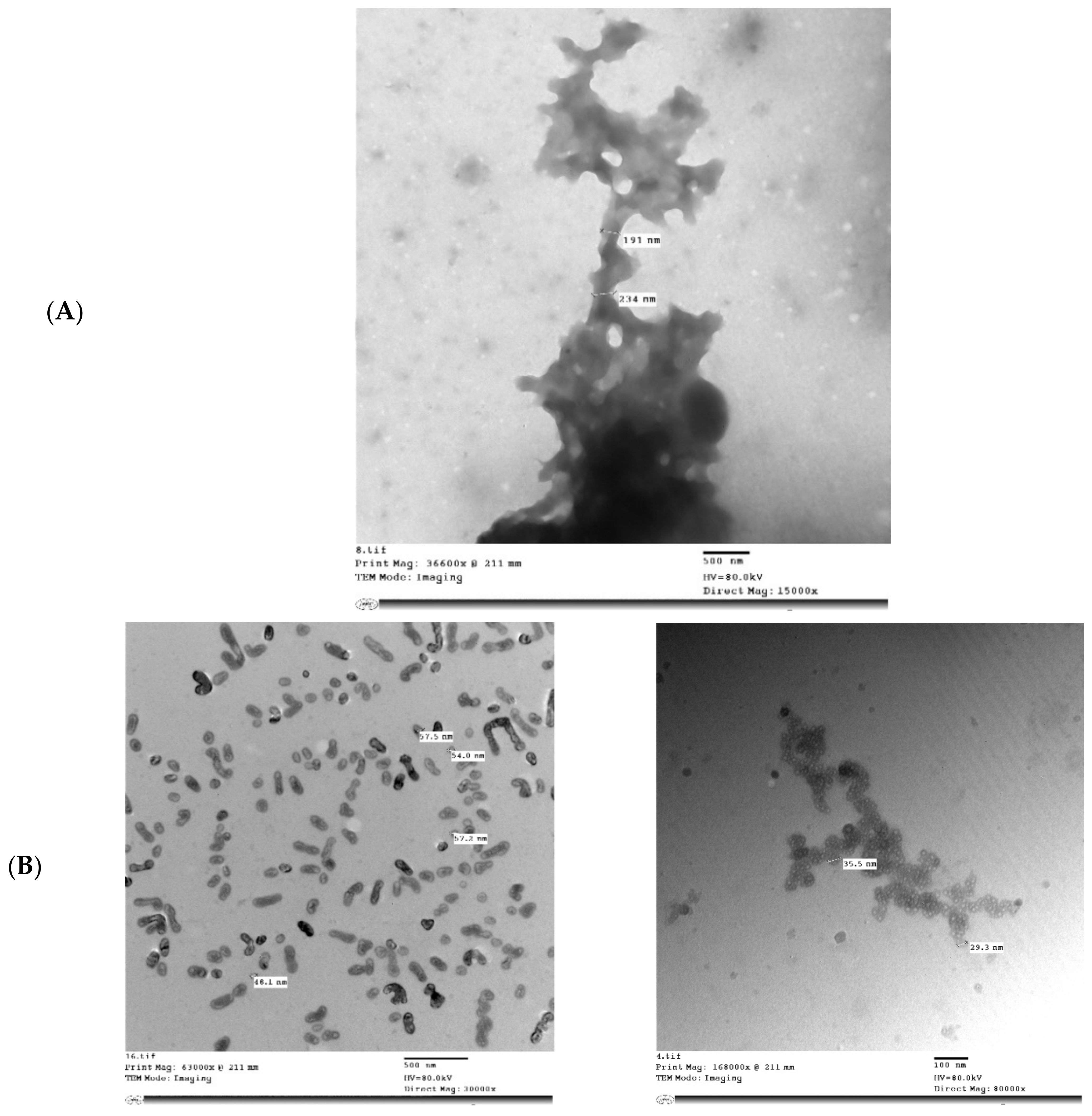 Molecules 26 06372 g005a