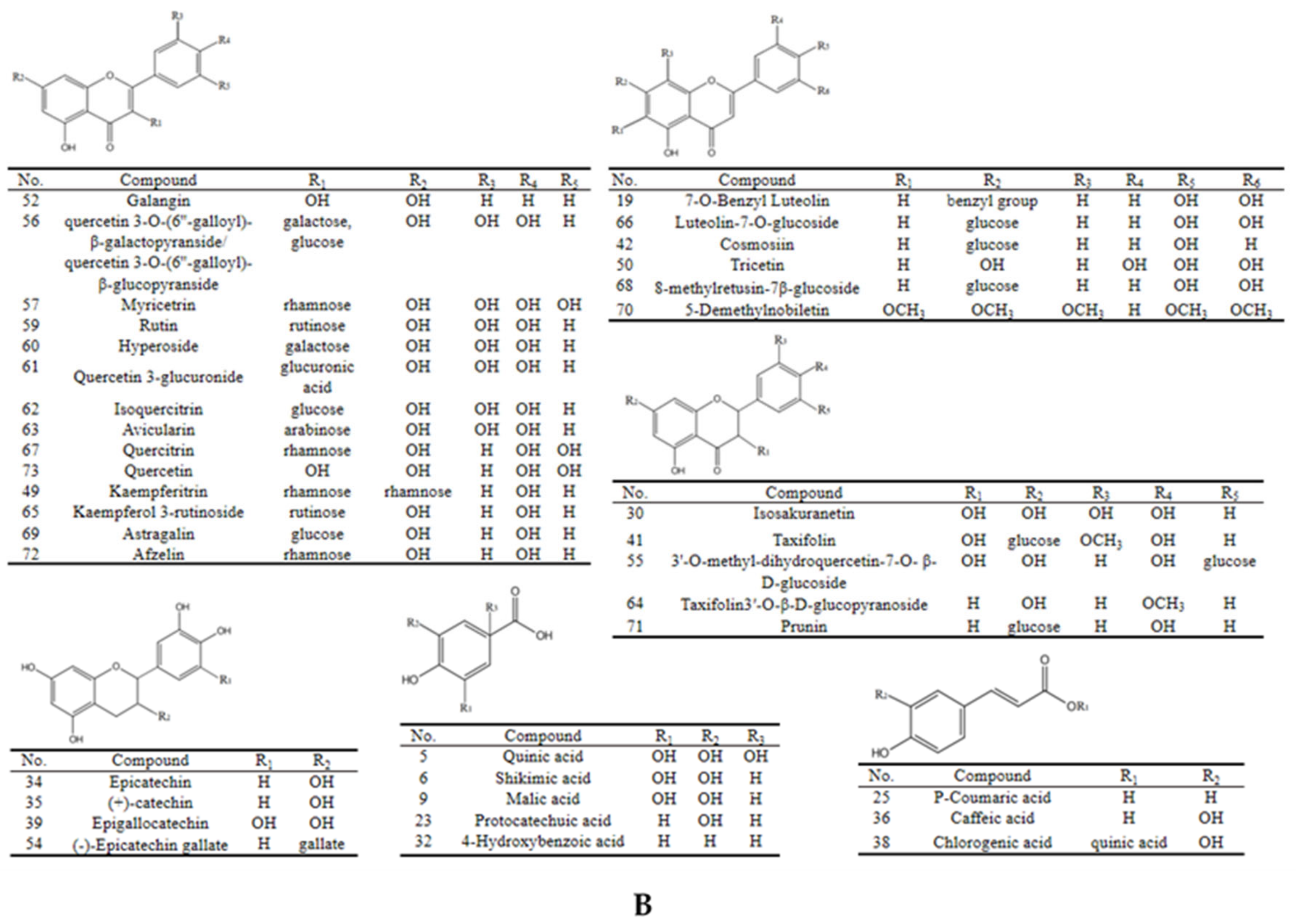 Molecules 26 06373 g002b Molecules 26 06373 g002b