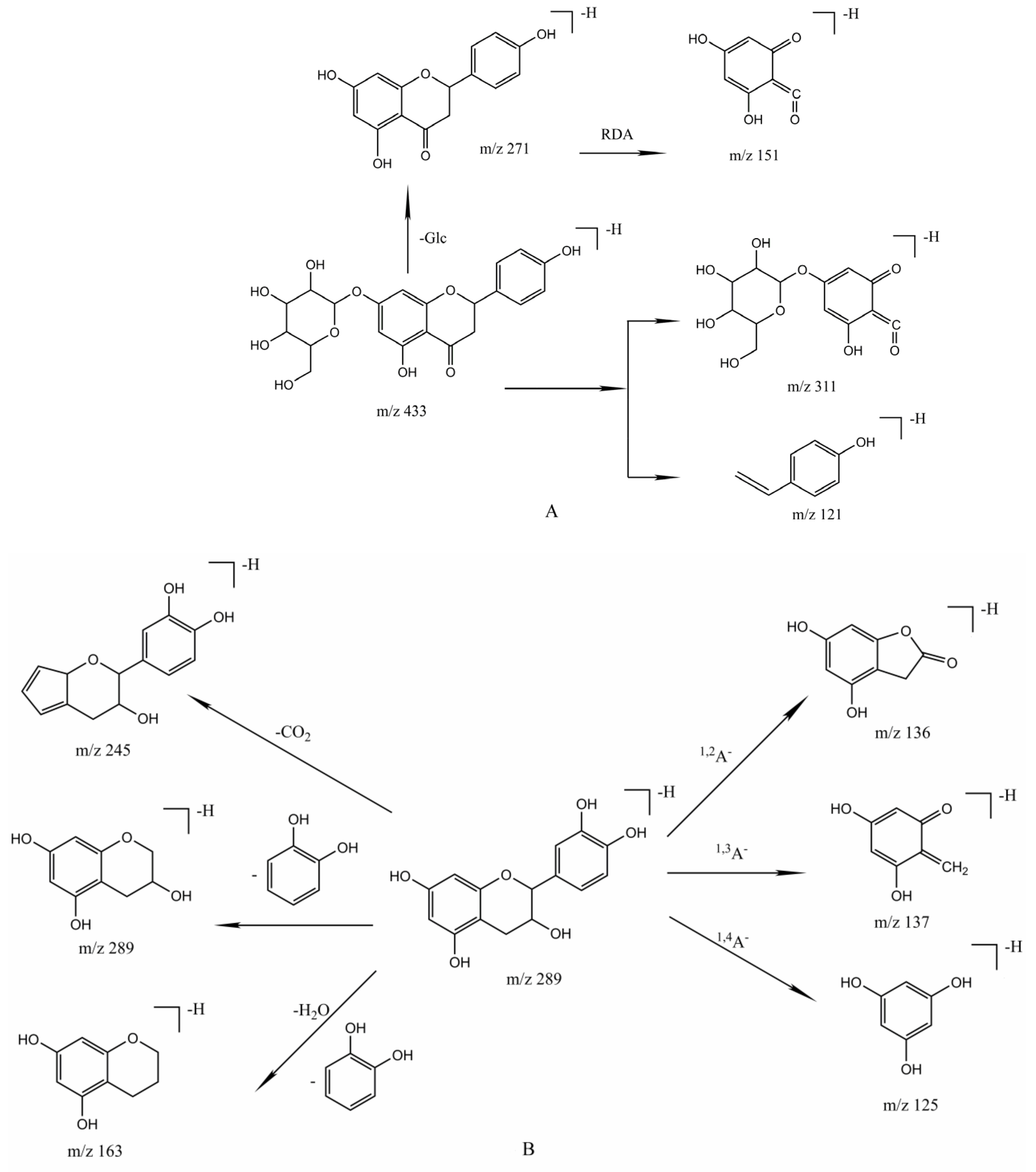 Molecules 26 06373 g004a Molecules 26 06373 g004a