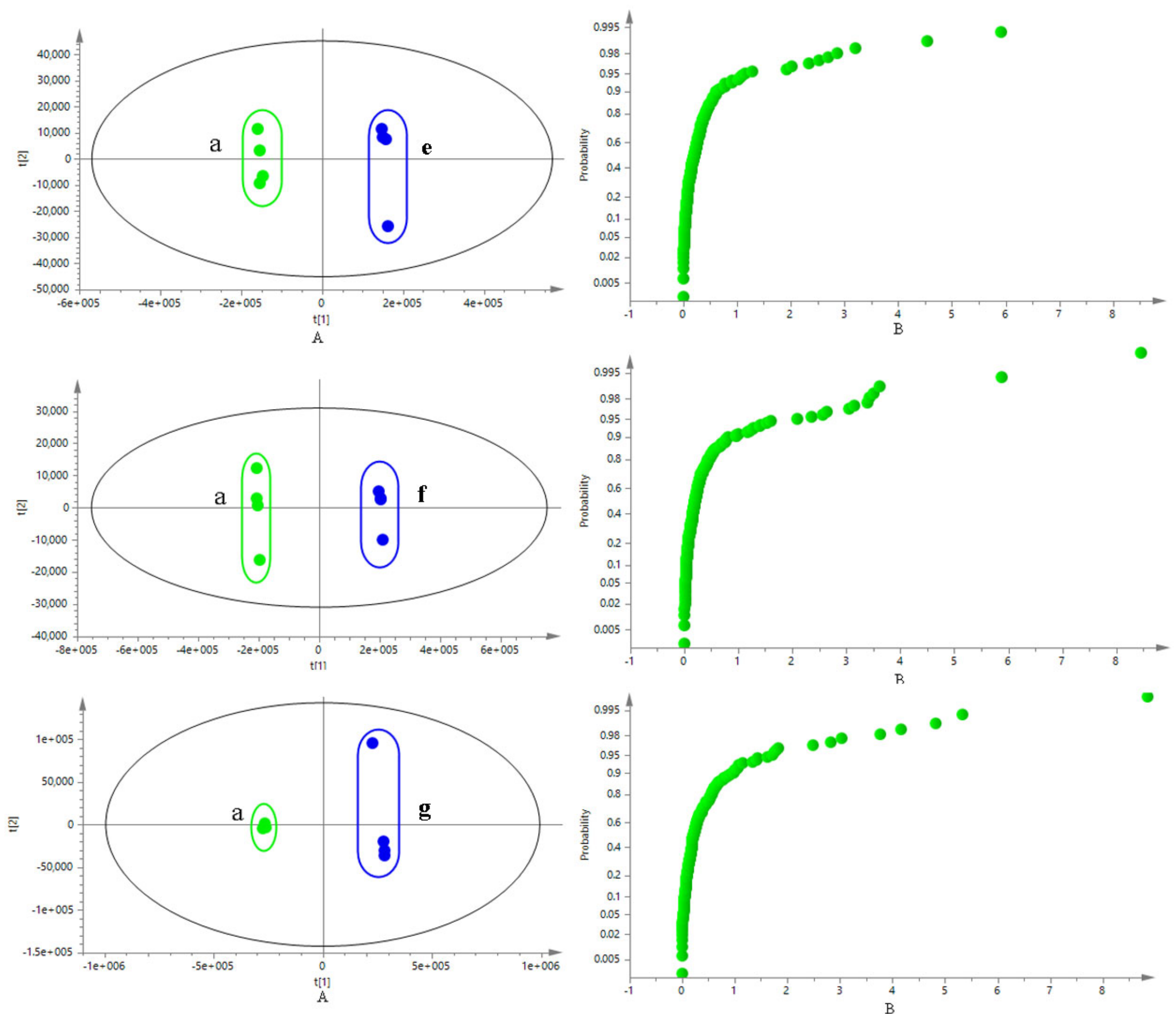 Molecules 26 06373 g005b Molecules 26 06373 g005b