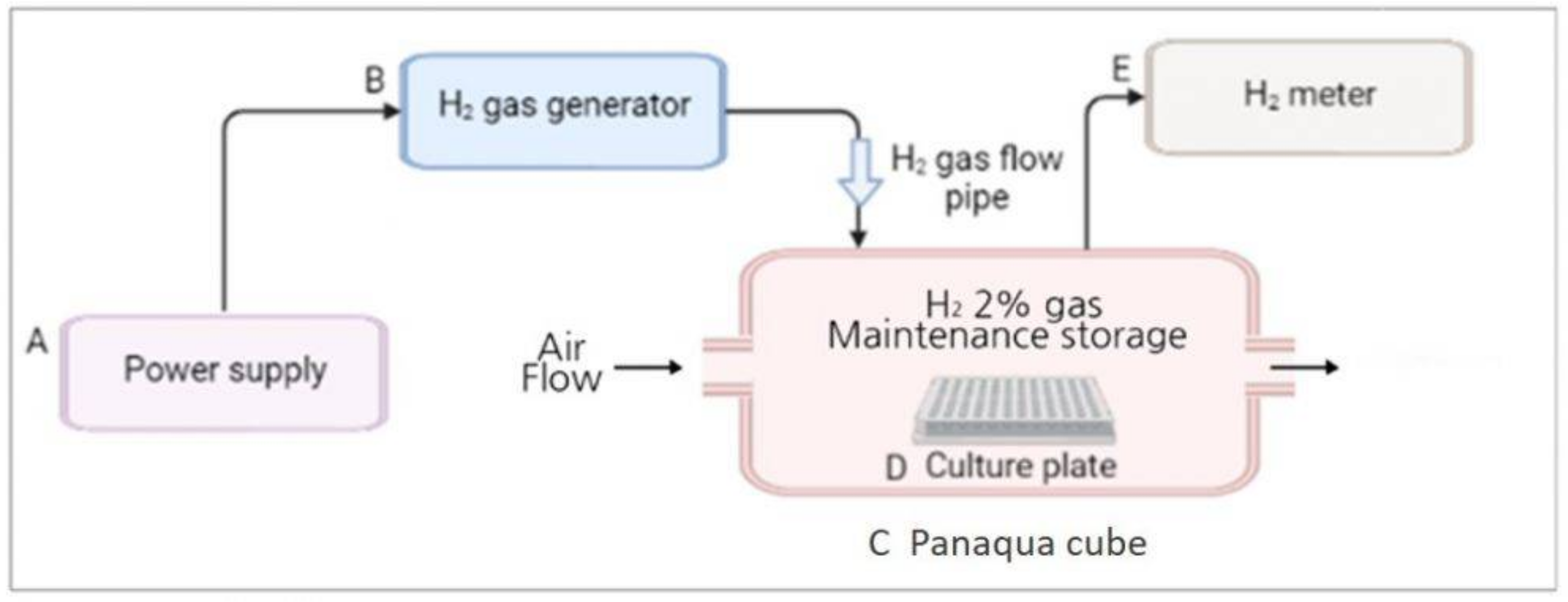 Molecules 26 06375 g001