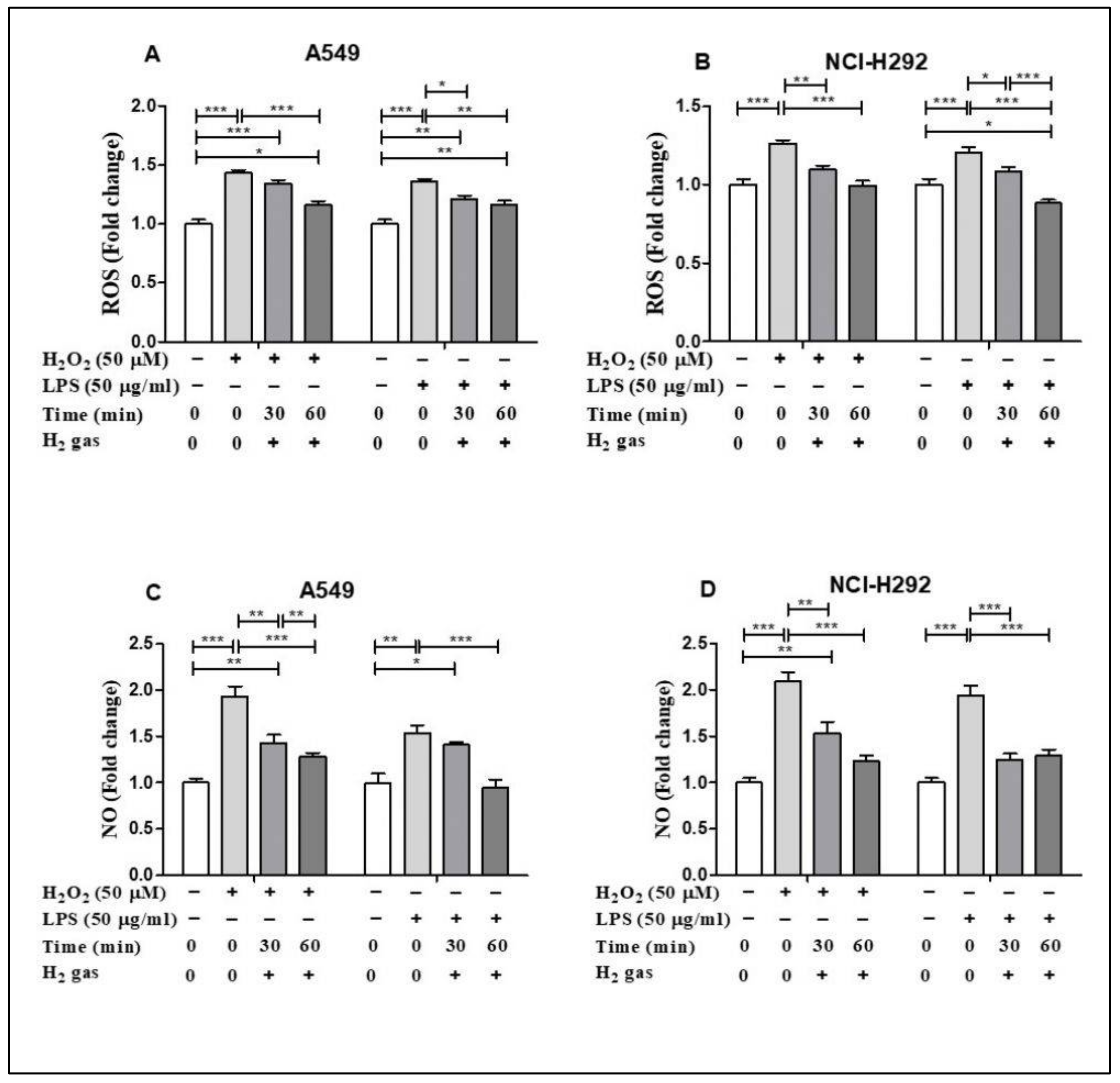 Molecules 26 06375 g003