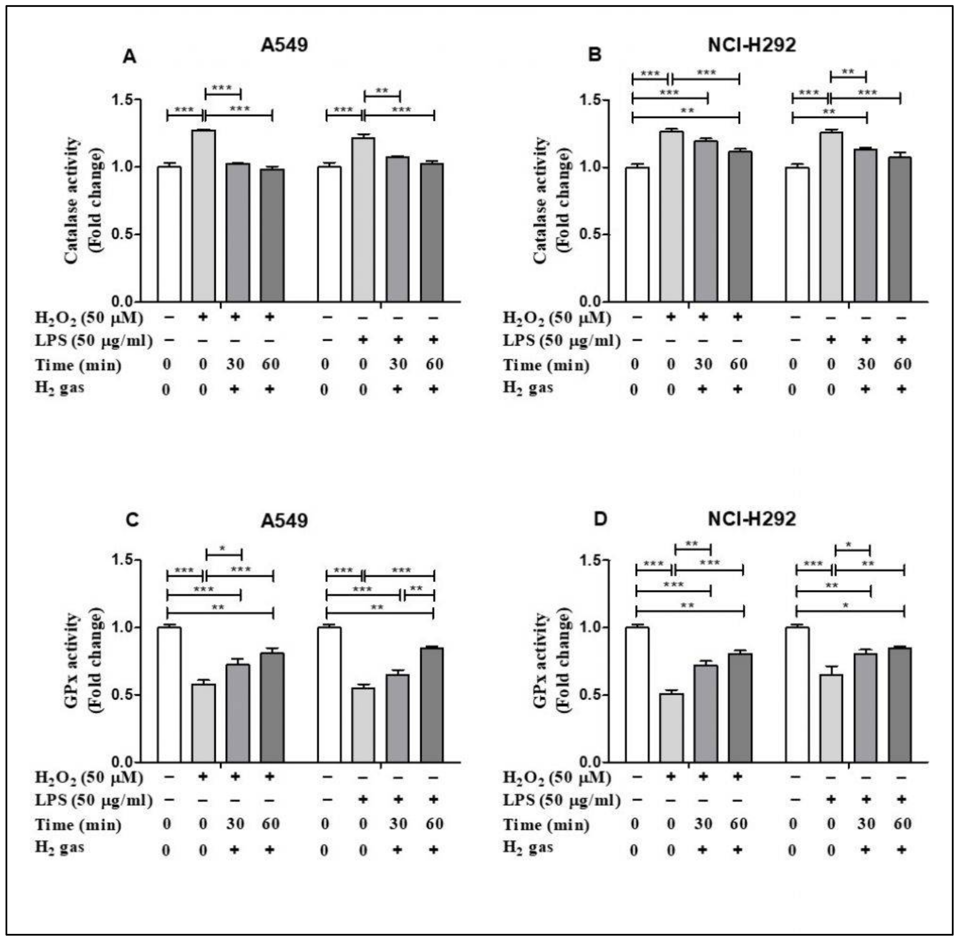 Molecules 26 06375 g004