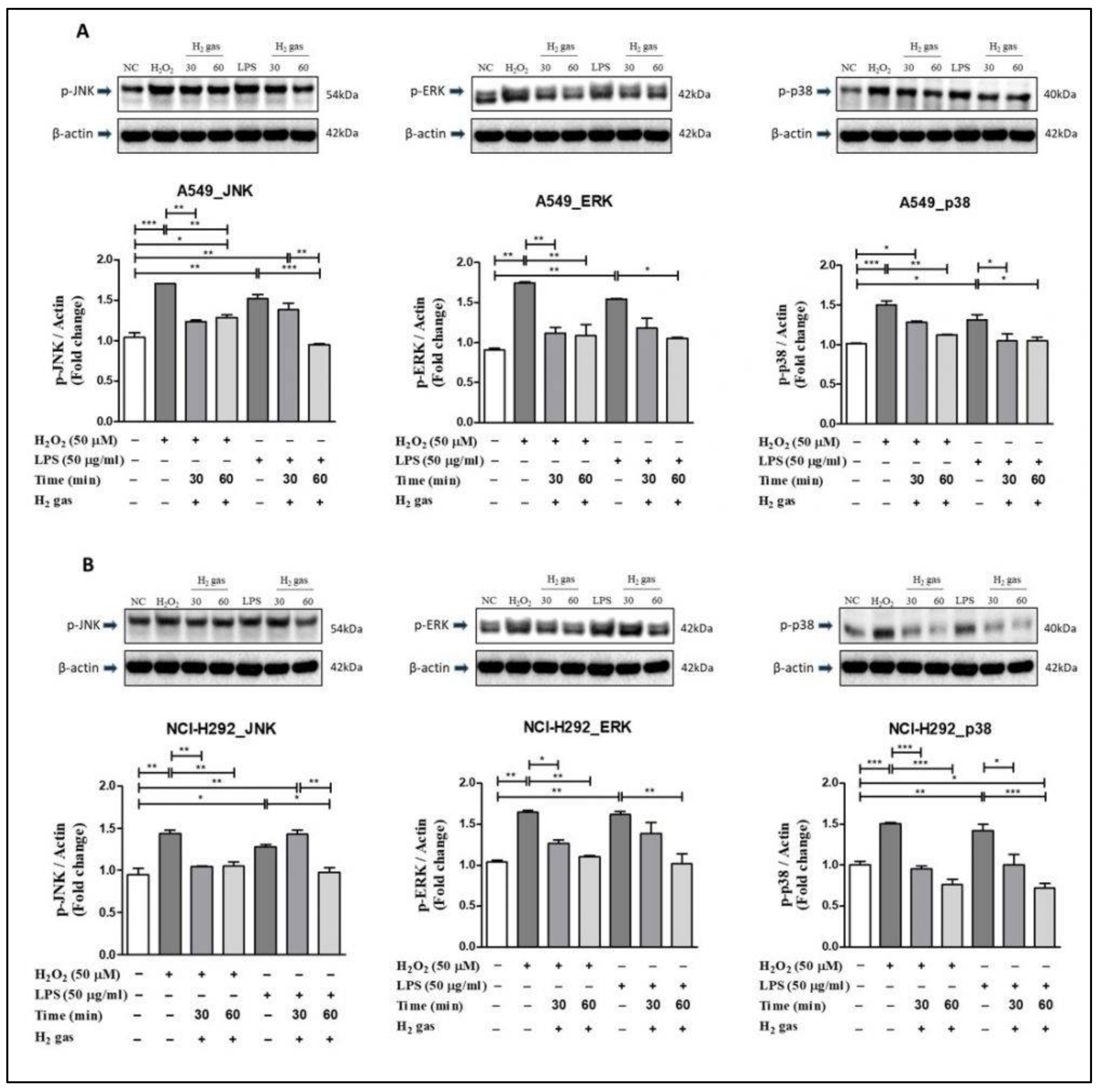 Molecules 26 06375 g006