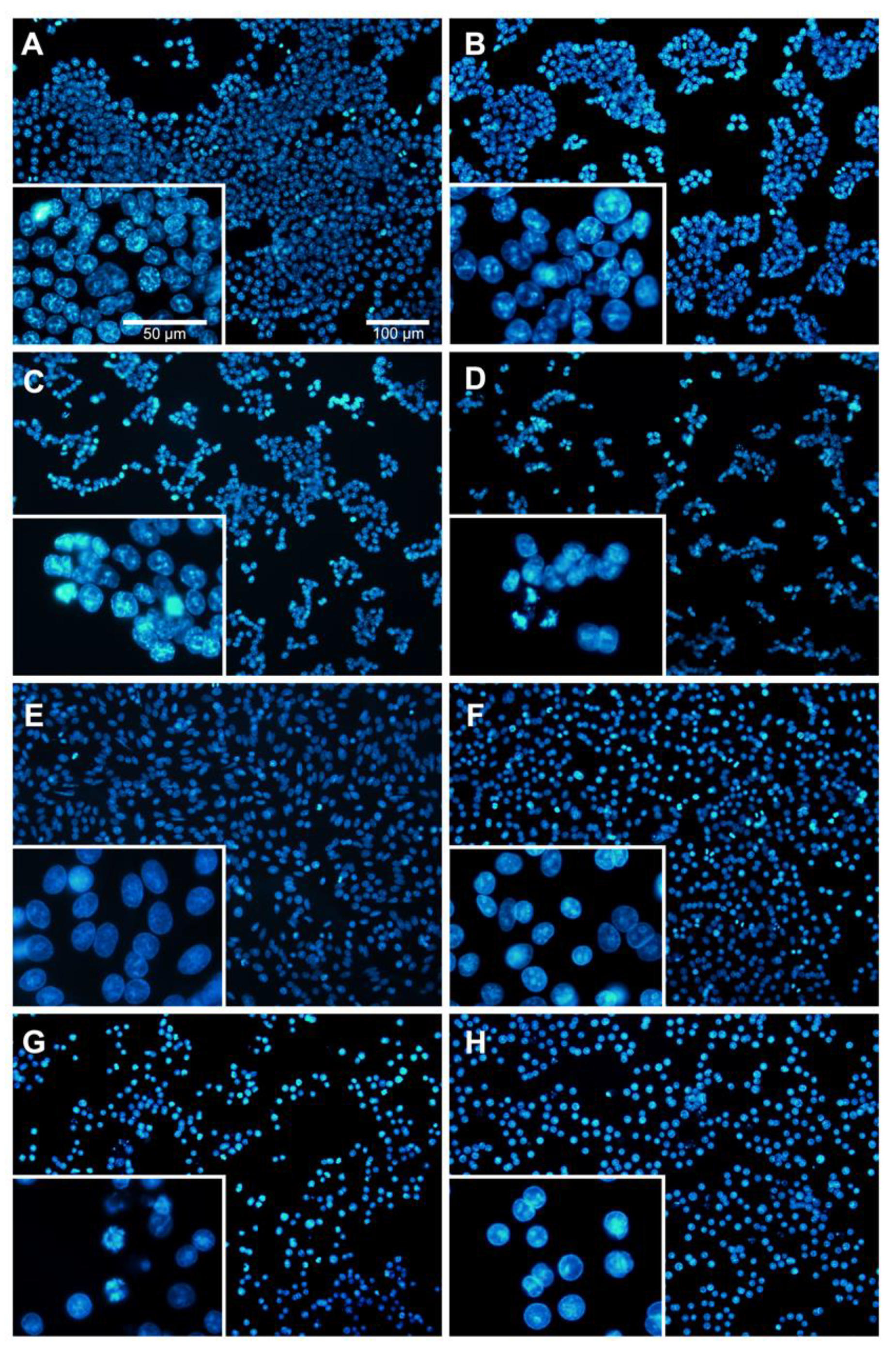 Molecules 26 06377 g004
