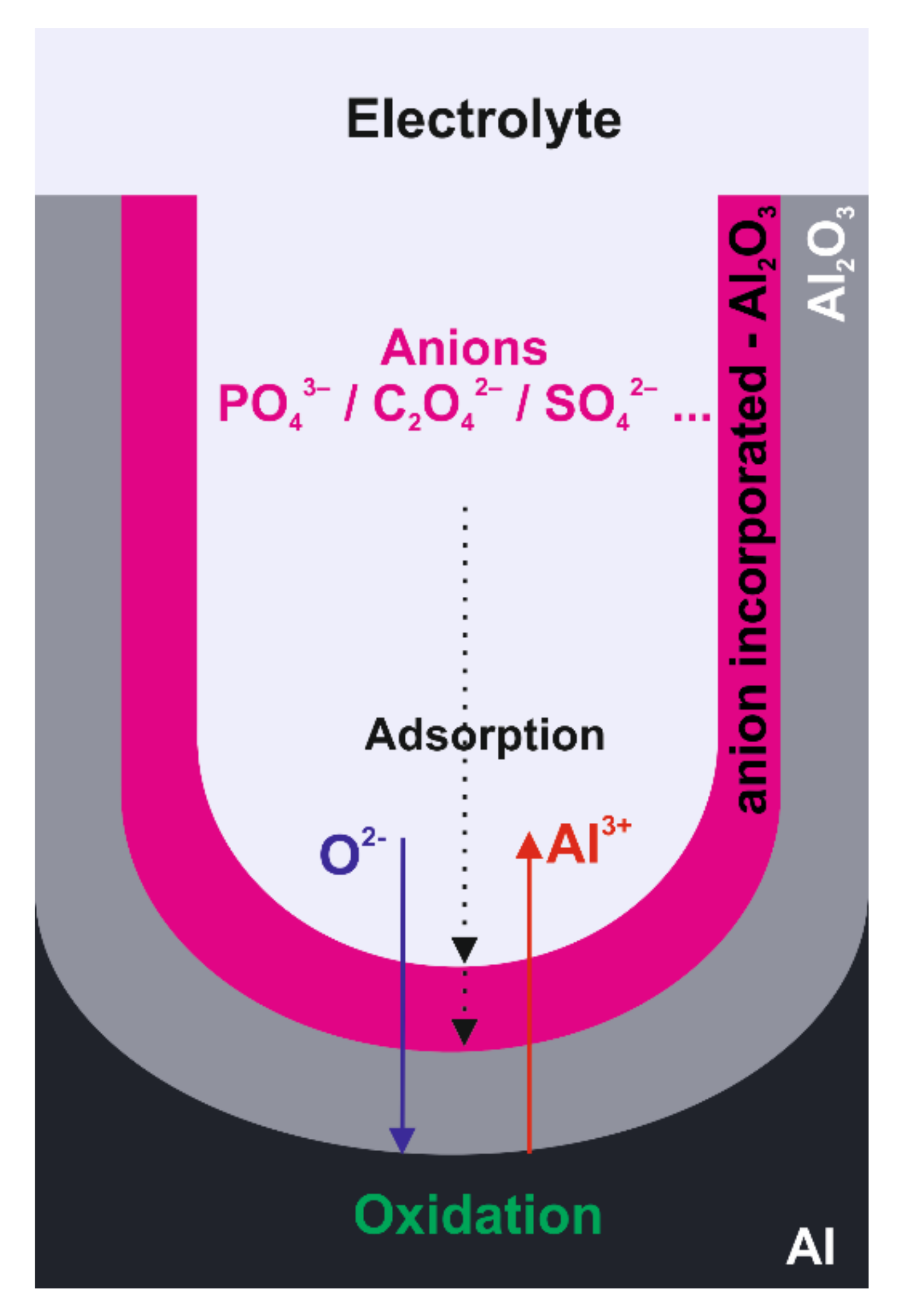 Molecules 26 06378 g004