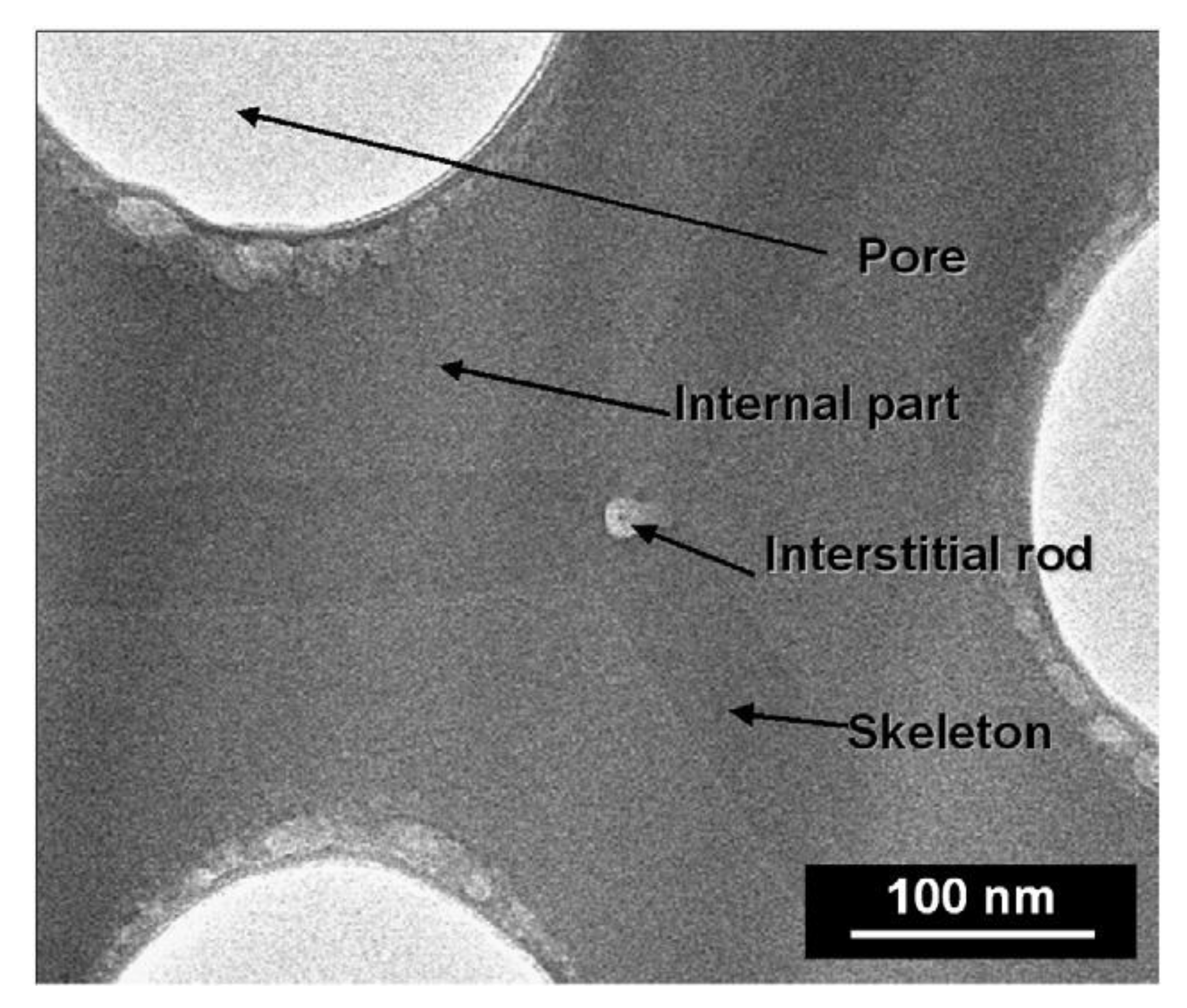 Molecules 26 06378 g006