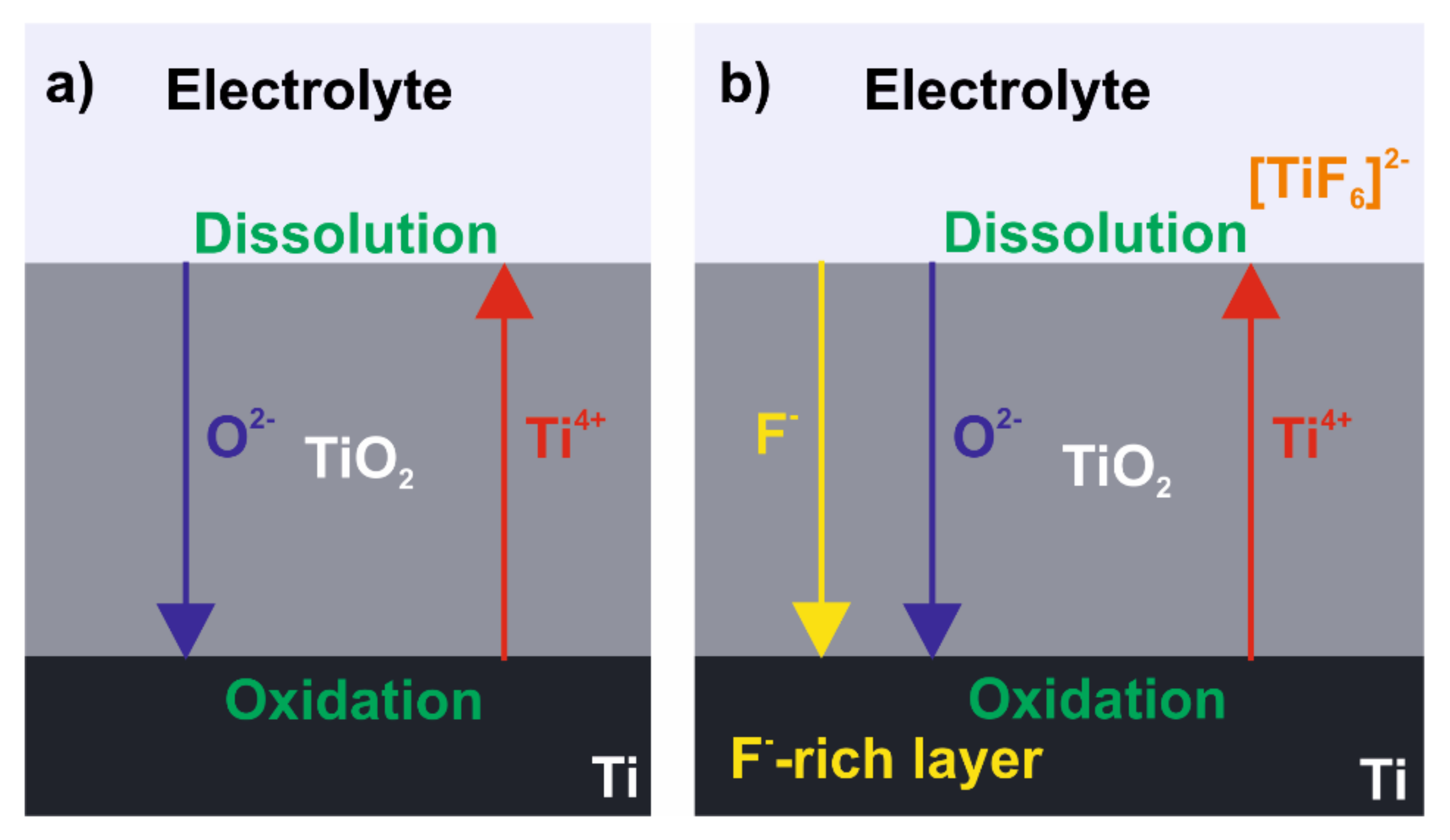 Molecules 26 06378 g008