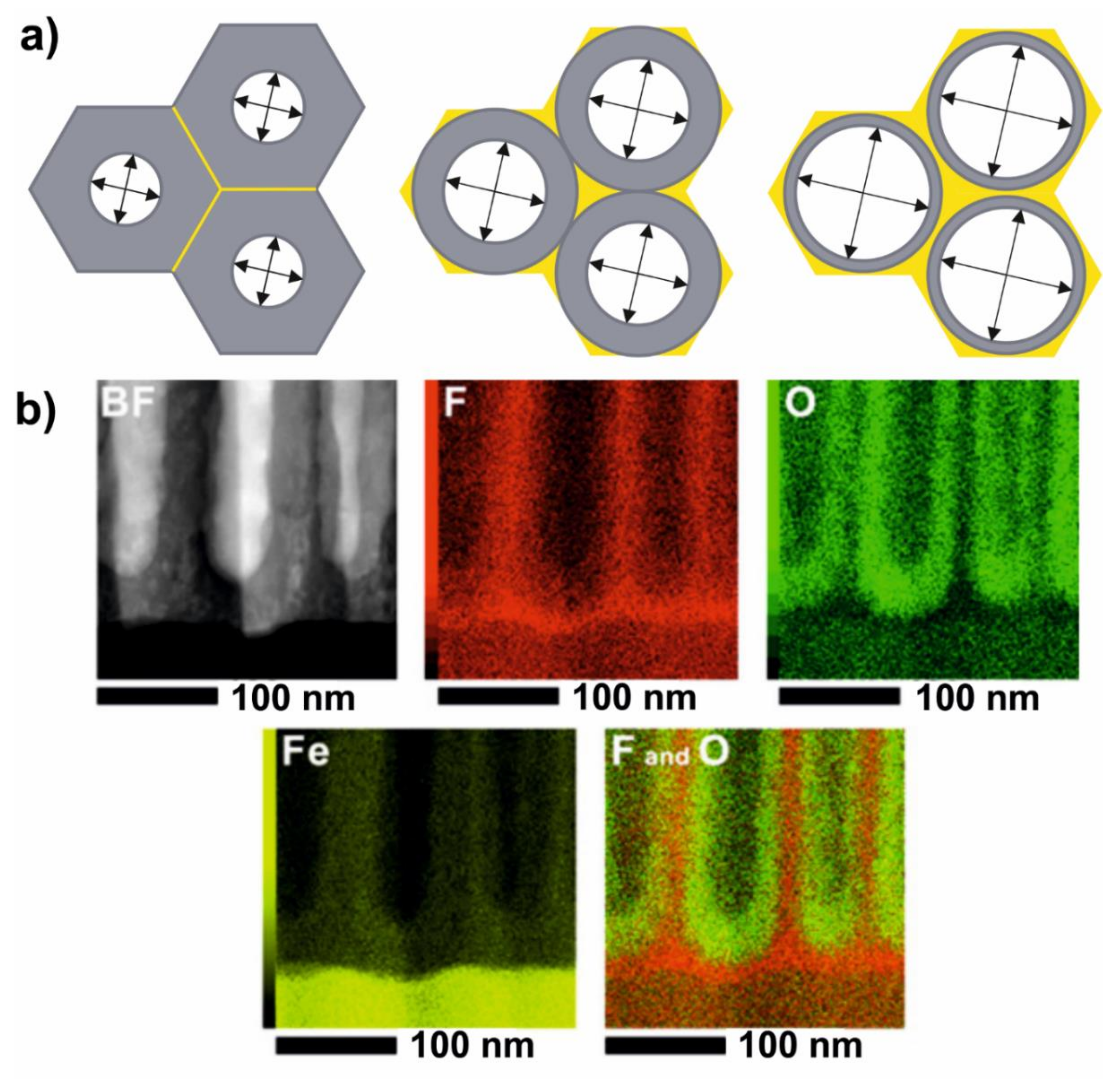 Molecules 26 06378 g010