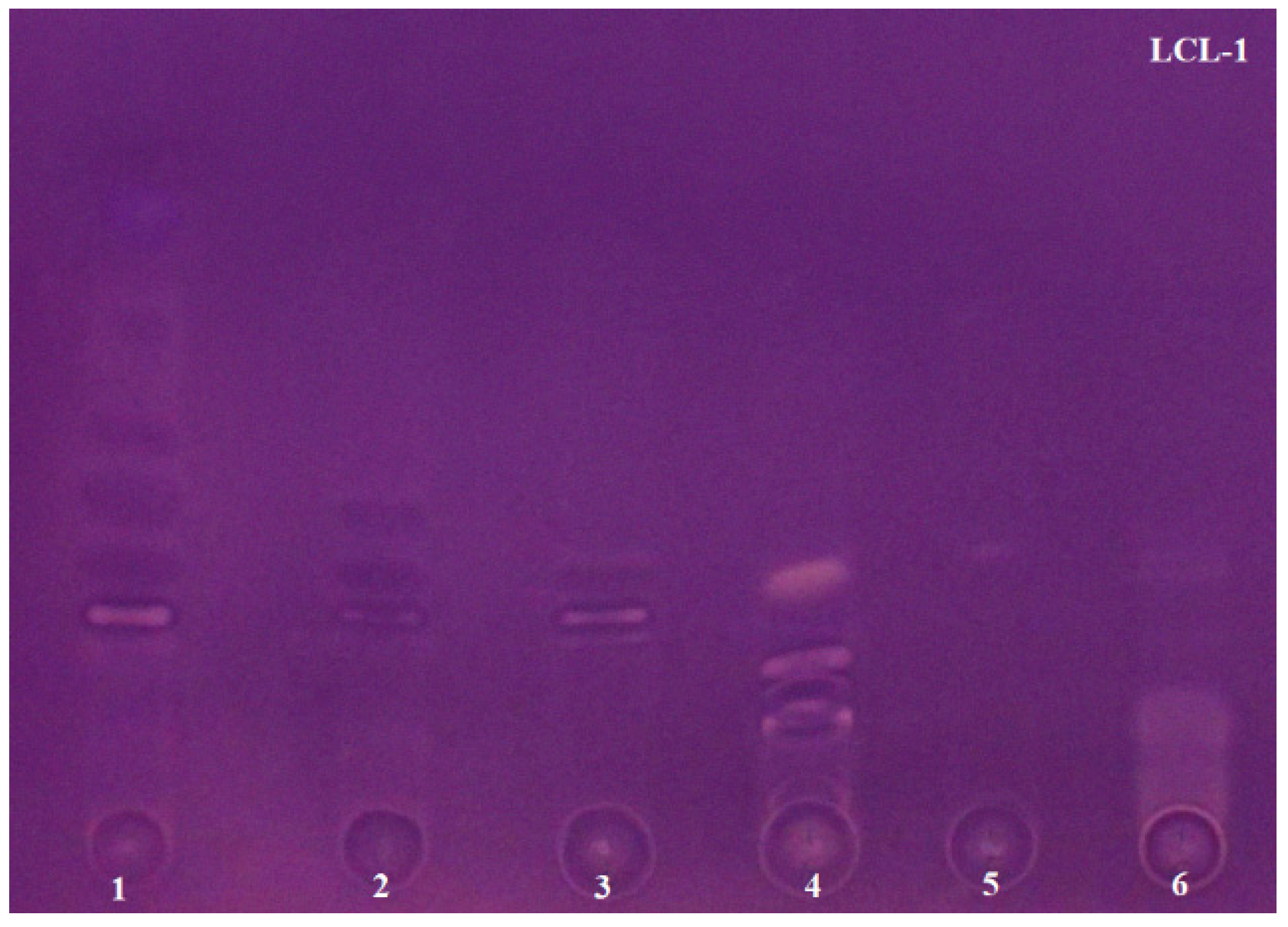 Molecules 26 06379 g004a