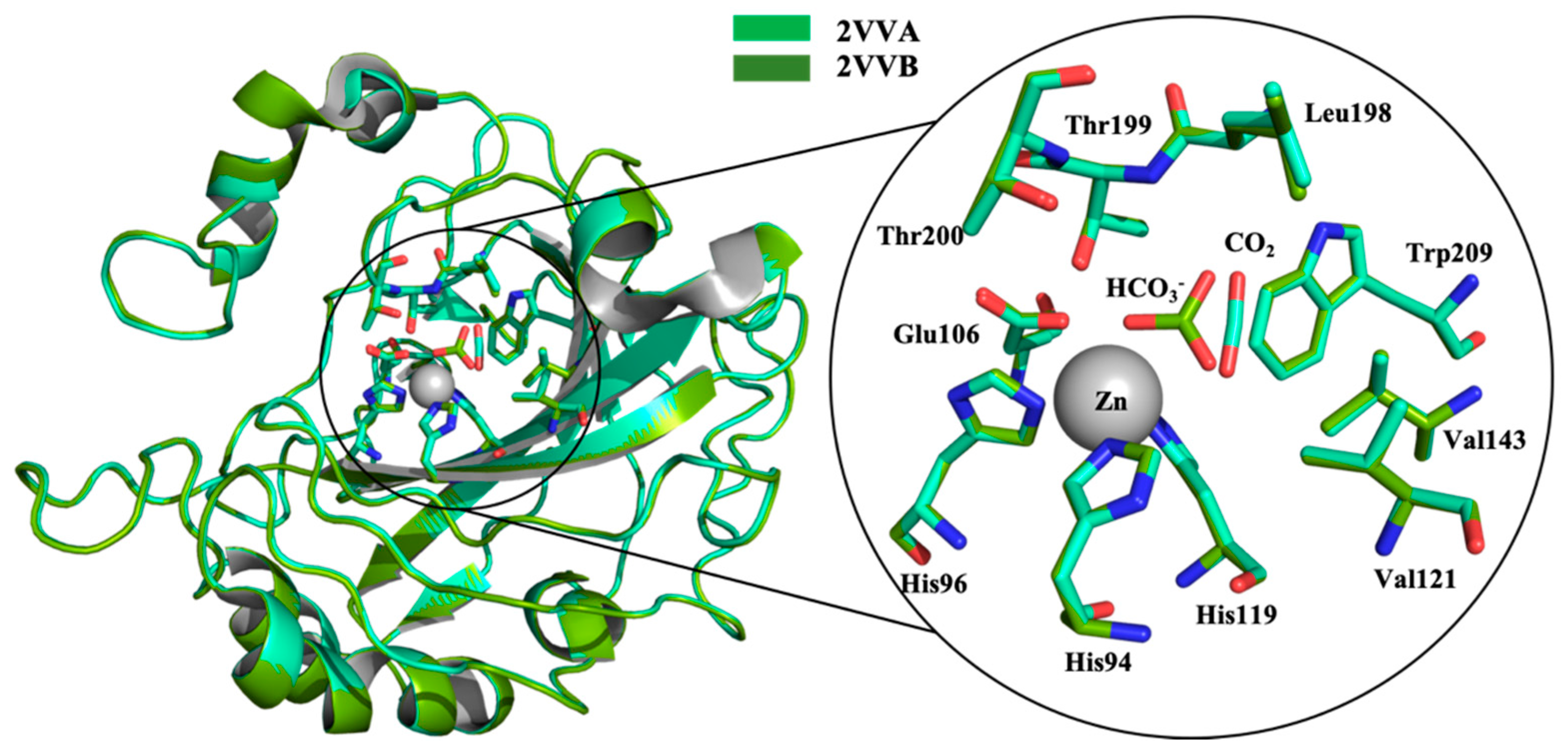Molecules 26 06380 g002