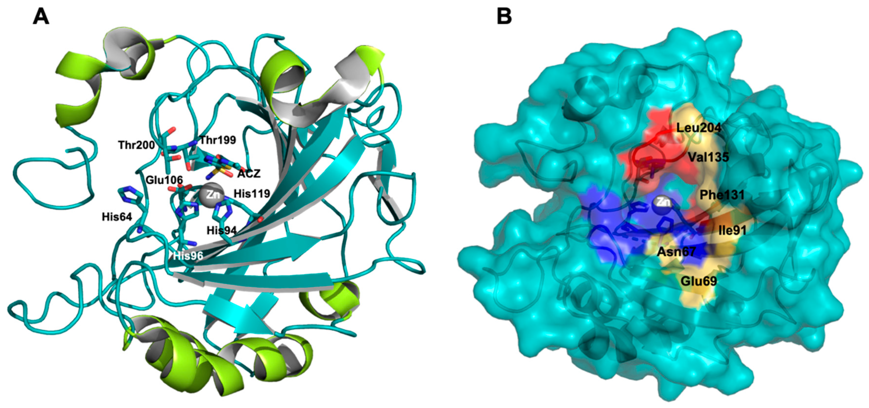 Molecules 26 06380 g003