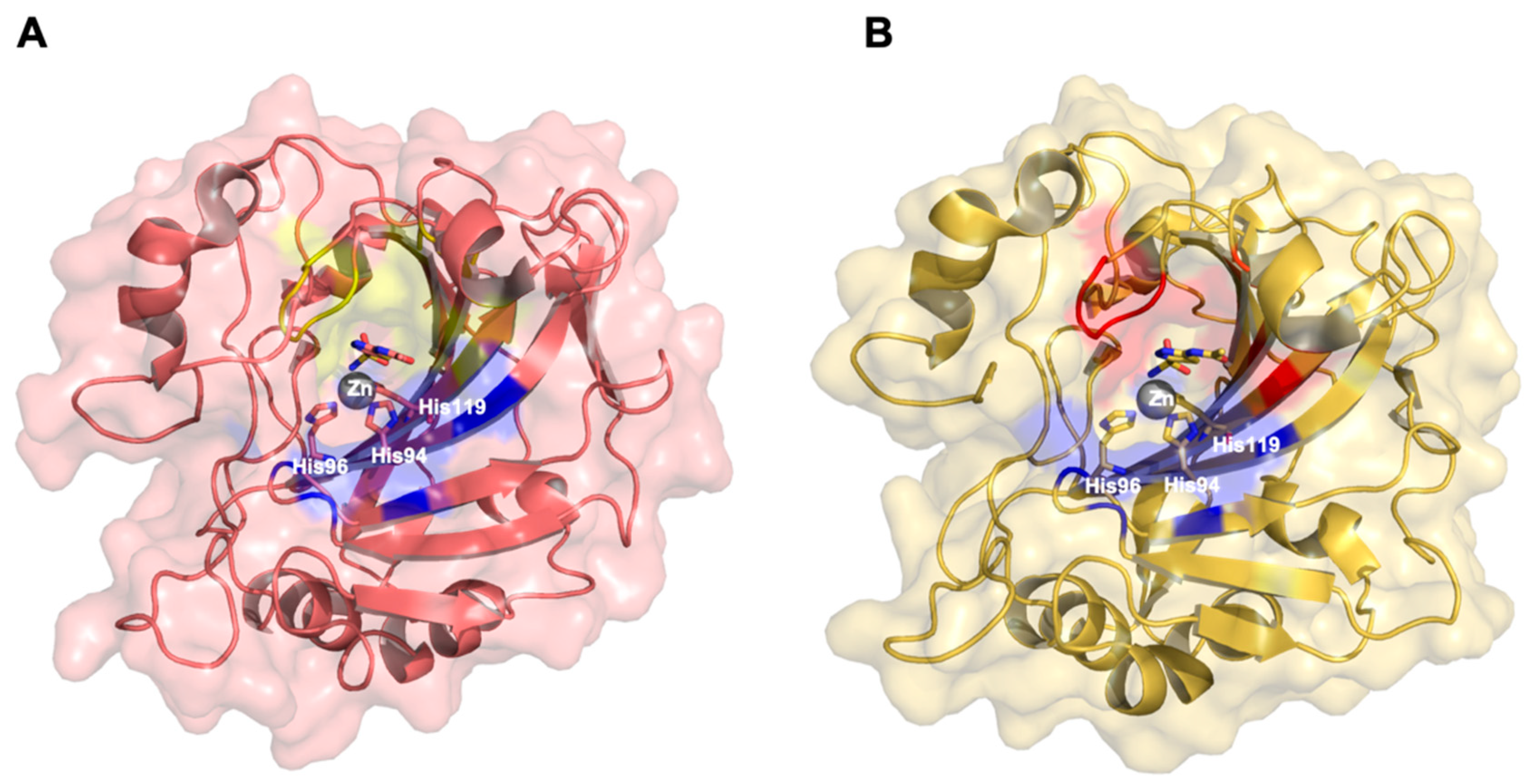 Molecules 26 06380 g004