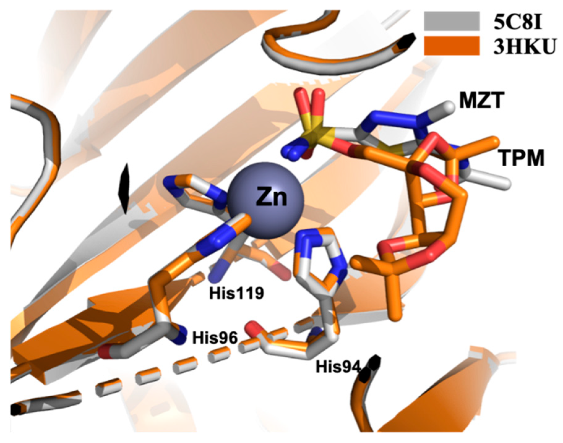 Molecules 26 06380 g006